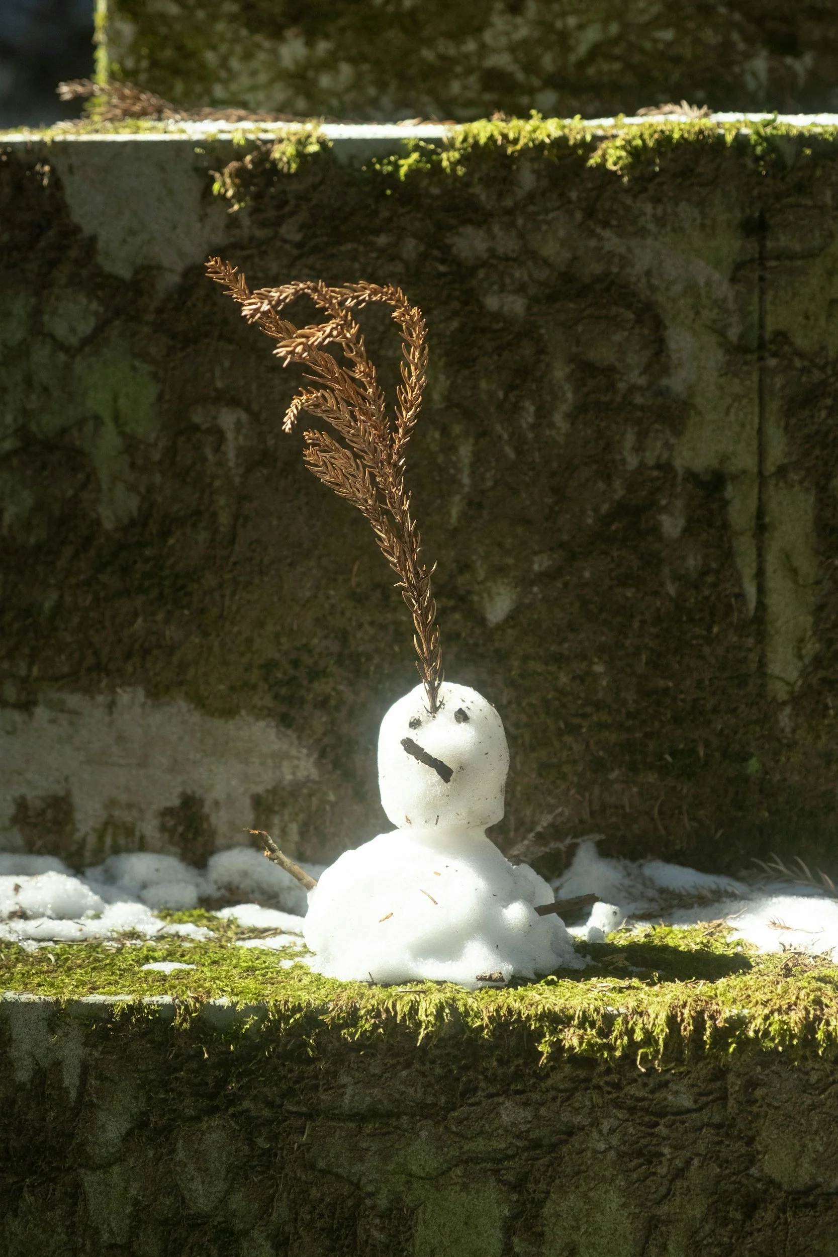 #1 reason adults get hurt during springtime