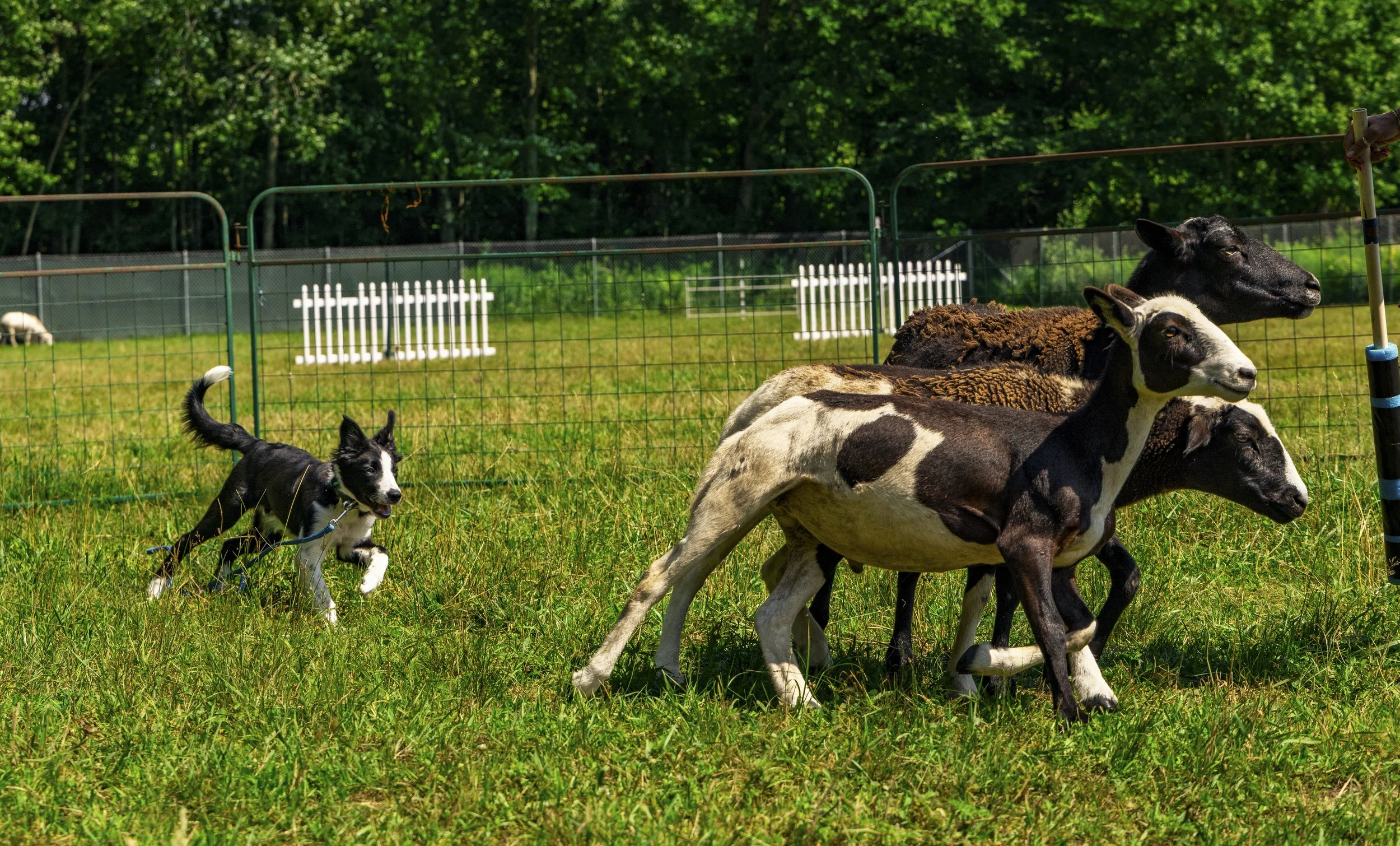 AC_NADD6_12249.jpg