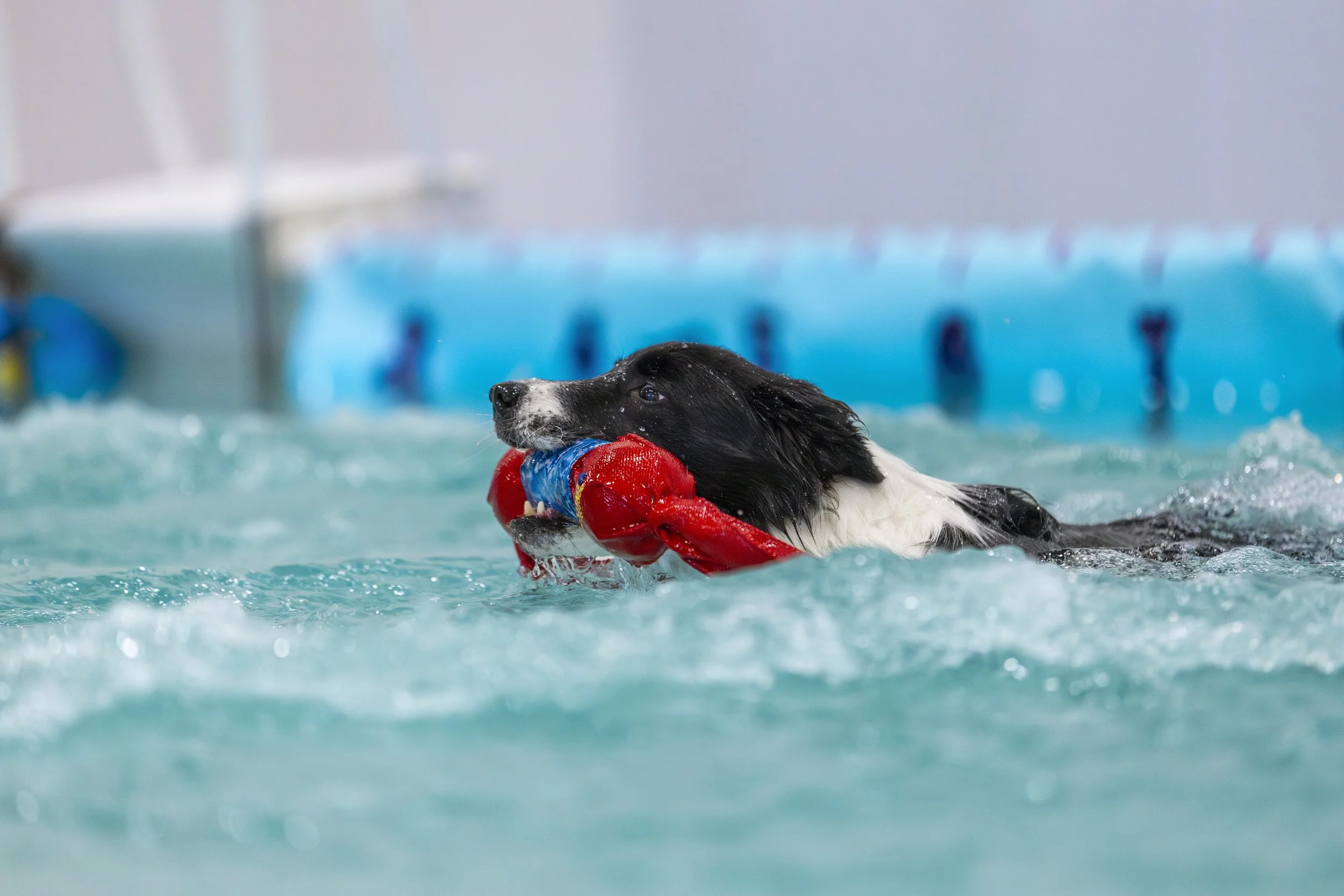 AC_CNE3_0215 copy.jpg