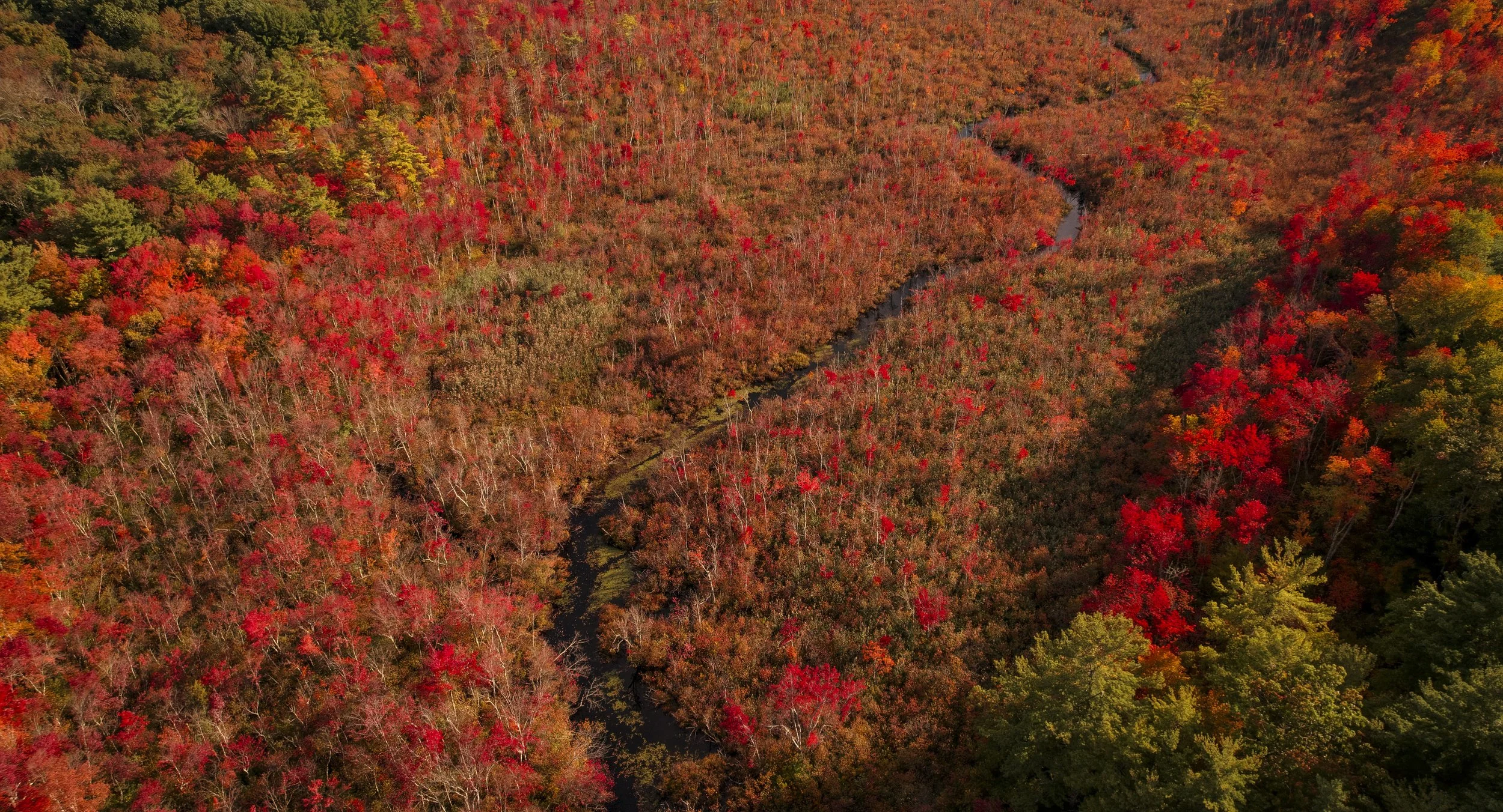 Drone Adventures Demo - 2023