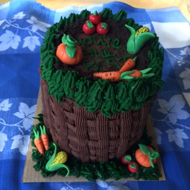 mini cake_veggie_IMG_7866.JPG