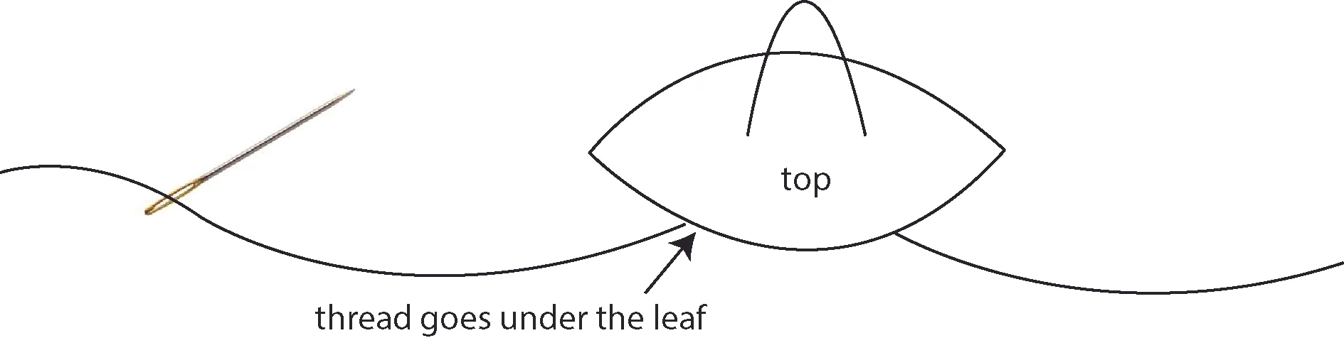 leaf_diagram.jpg