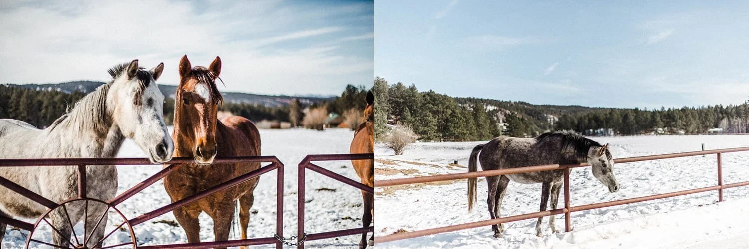 Winter Colorado Flower Crown Lookbook_0014.jpg