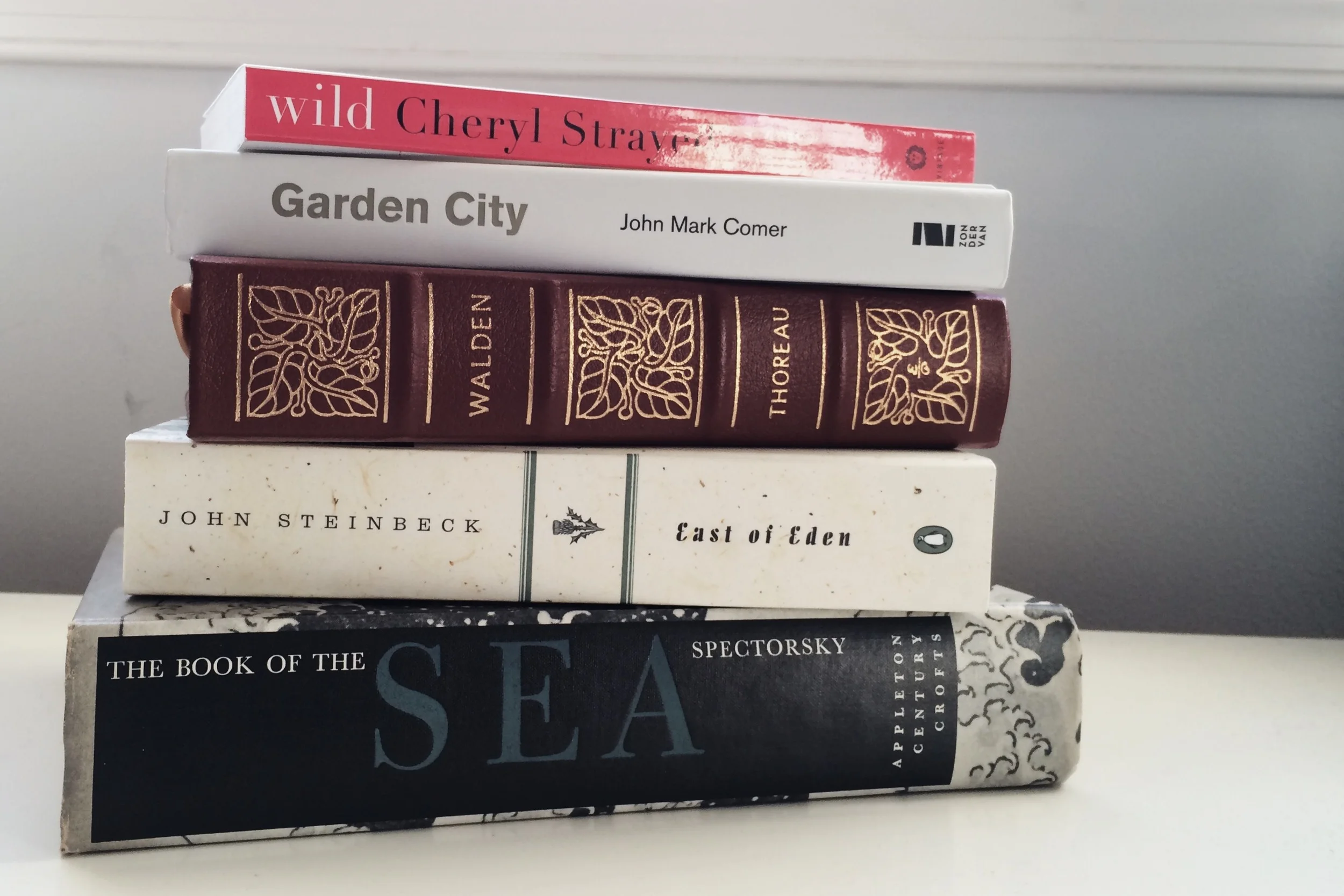 vsco-photo-1.jpg