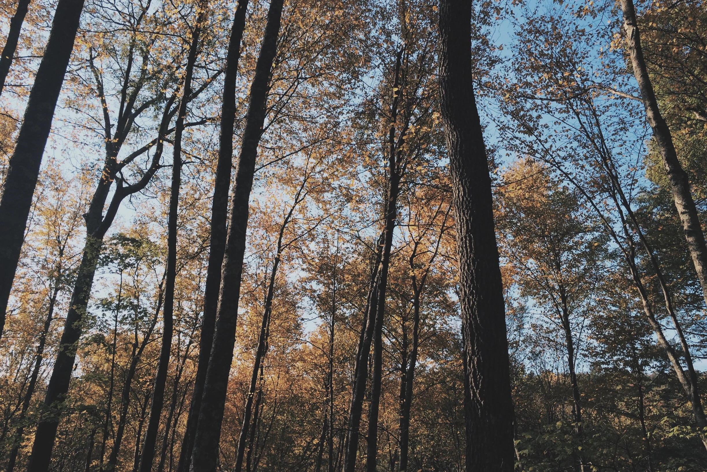 OCTOBERS ARE MADE FOR WEEKEND DATES & VISTAS