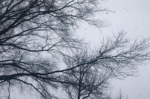 There&rsquo;s something about the soft tapping as ice falls onto ice. Softly knocking upon the window pane as if asking &ldquo;Can I come in?&rdquo; But she&rsquo;s a cruel winter that won&rsquo;t let go. Maybe cruel is a ruthless word, but her icicl