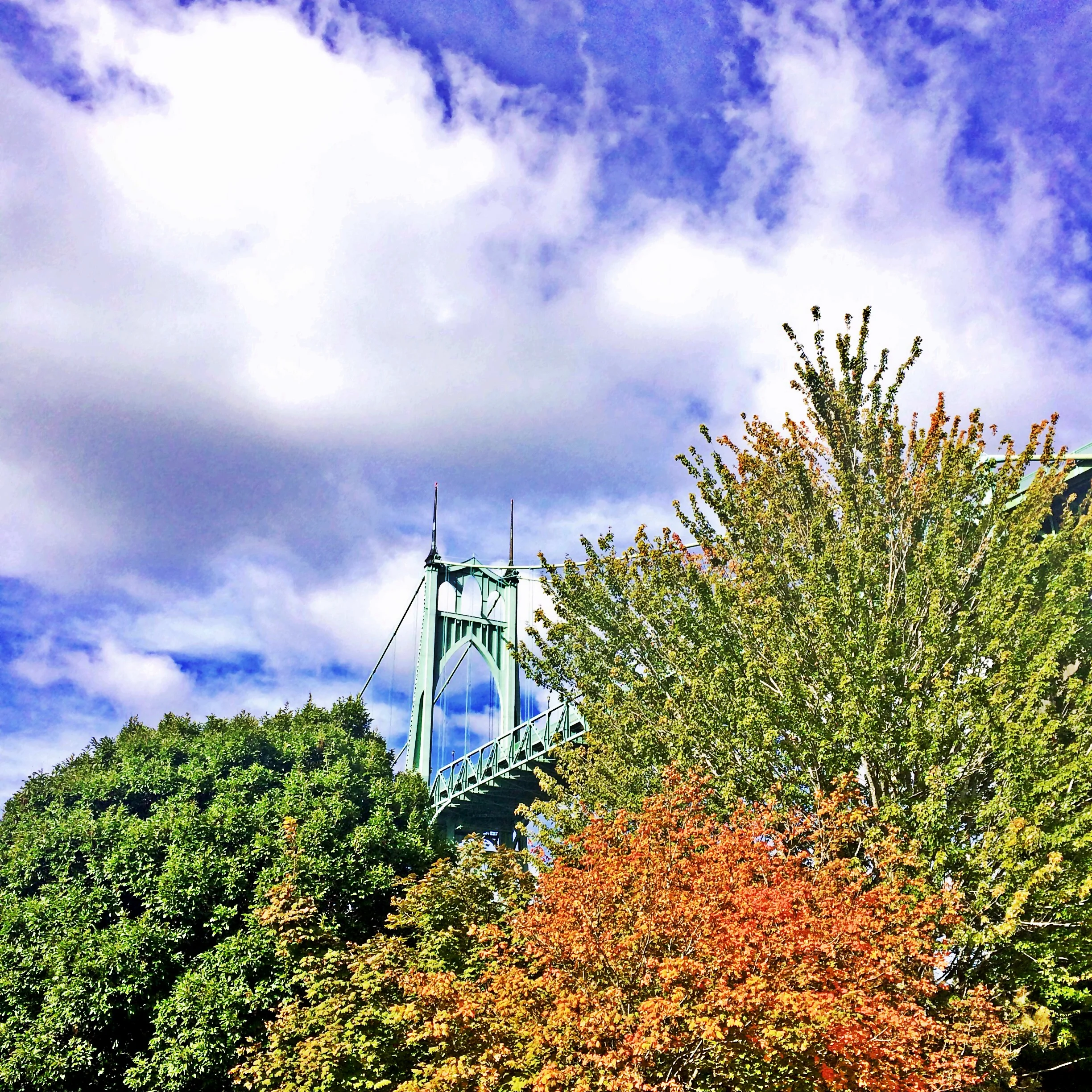 St Johns bridge sept 2015.JPG