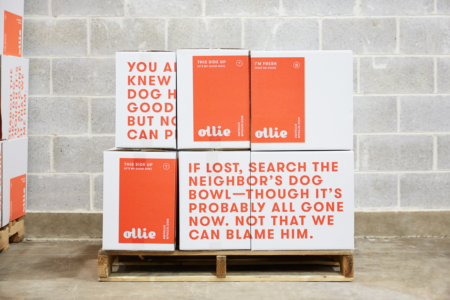 Ollie-BoxStack_Facility-1500x1000.jpg