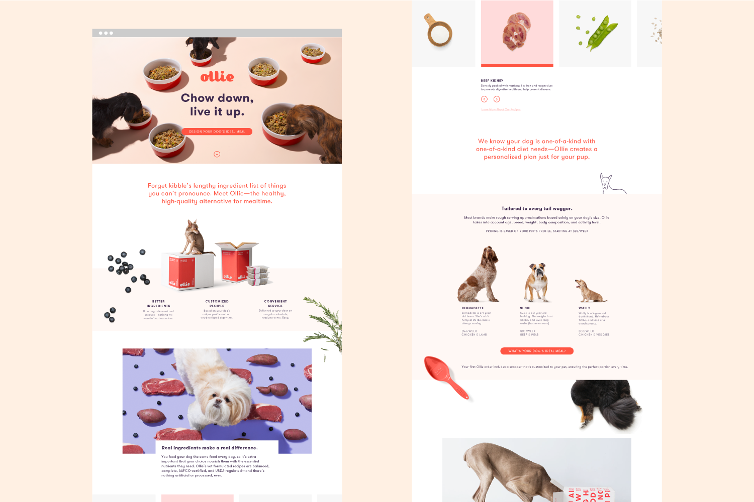 The website showcases how the brand comes together—parallax ingredients allow a dynamic, layered experience, while colorful, surreal imagery and playful illustrative moments create a unique, ownable aesthetic to the site.