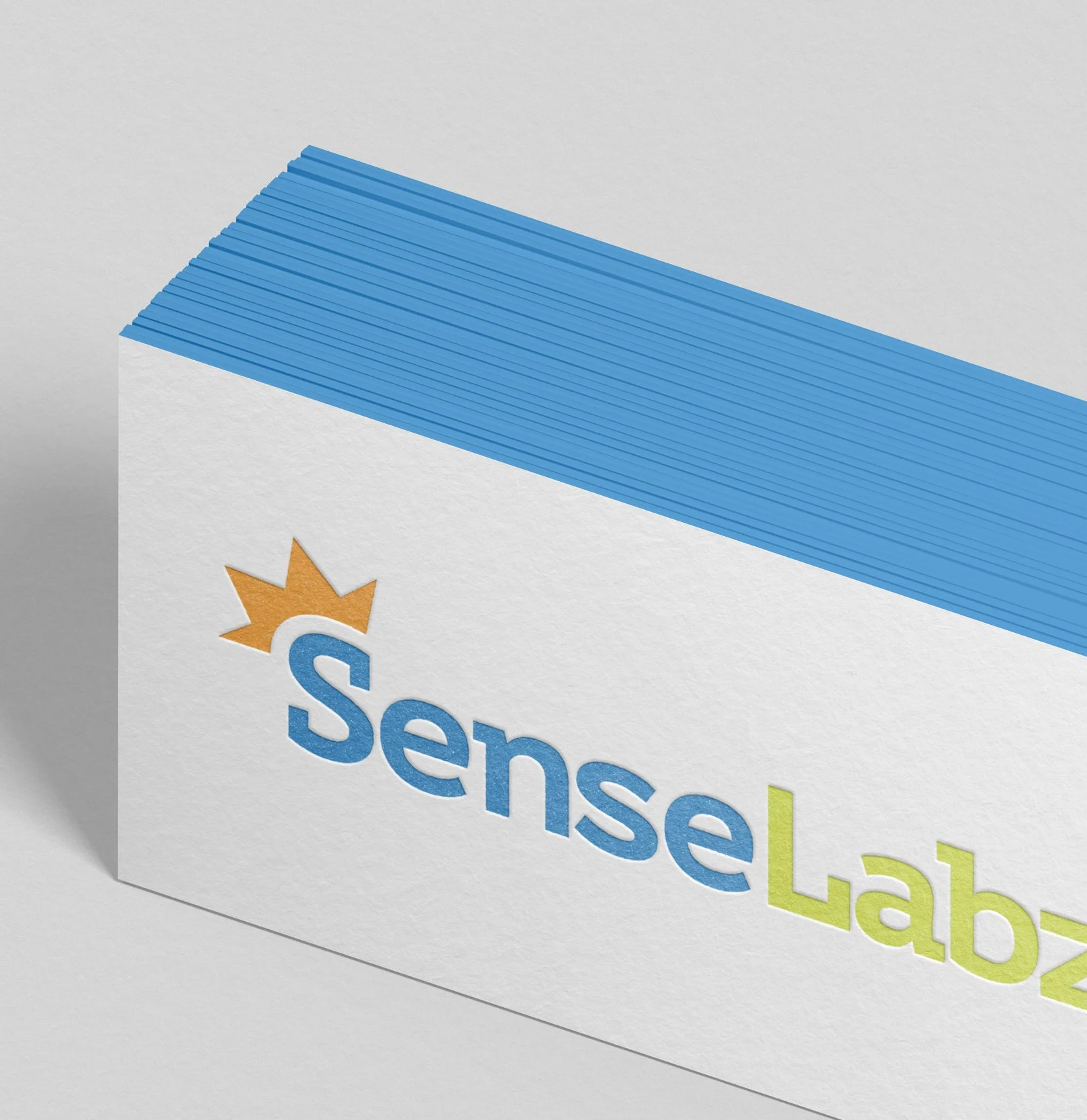 sen+selabz_mockup7.jpg