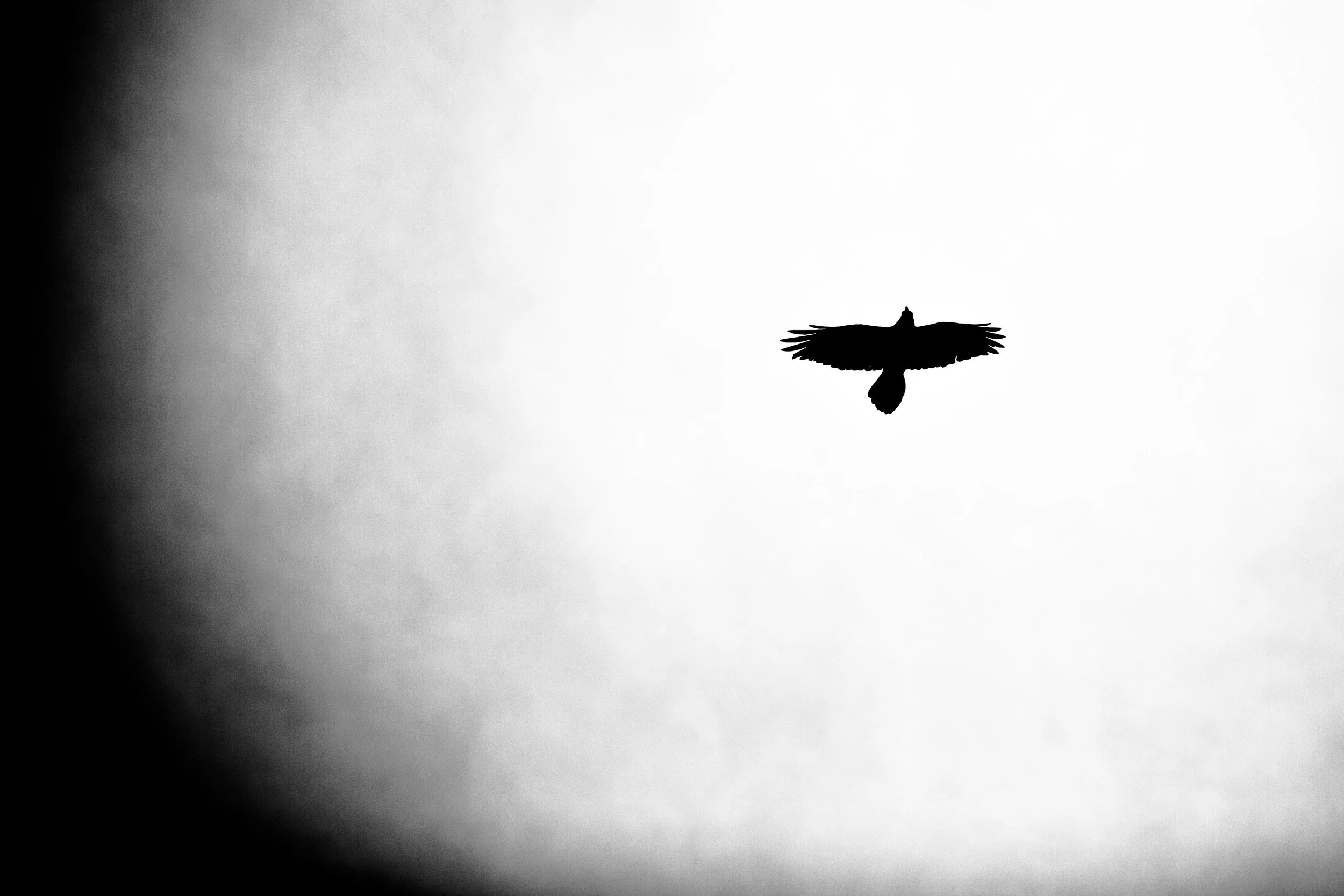 CP5D3852.jpg