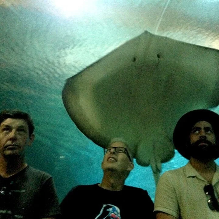 ANDREW MCKENZIE - (GOLDEN CURTAIN, GRAND PRIX)