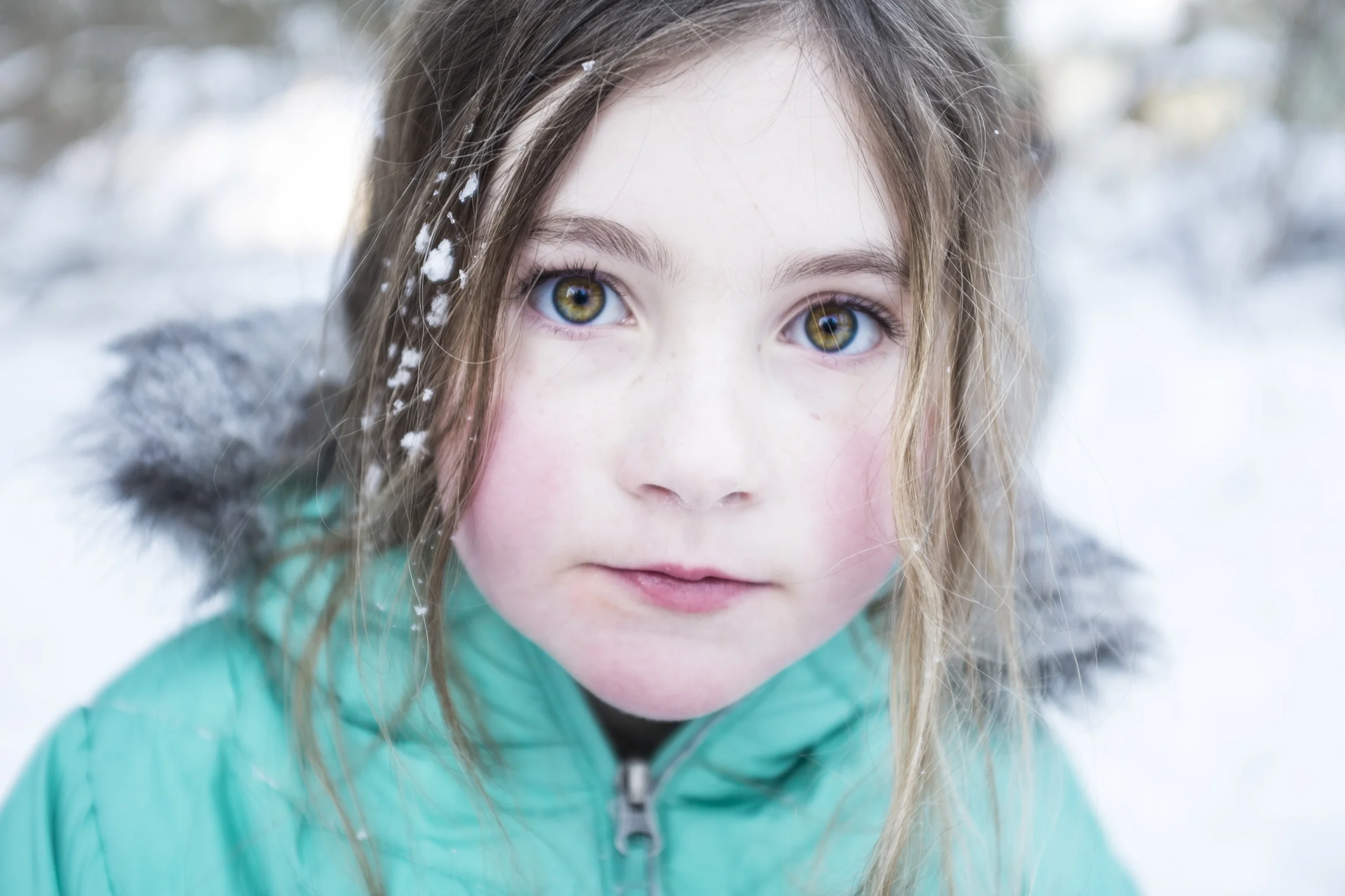 Maggie-backyard-snow-1.jpg