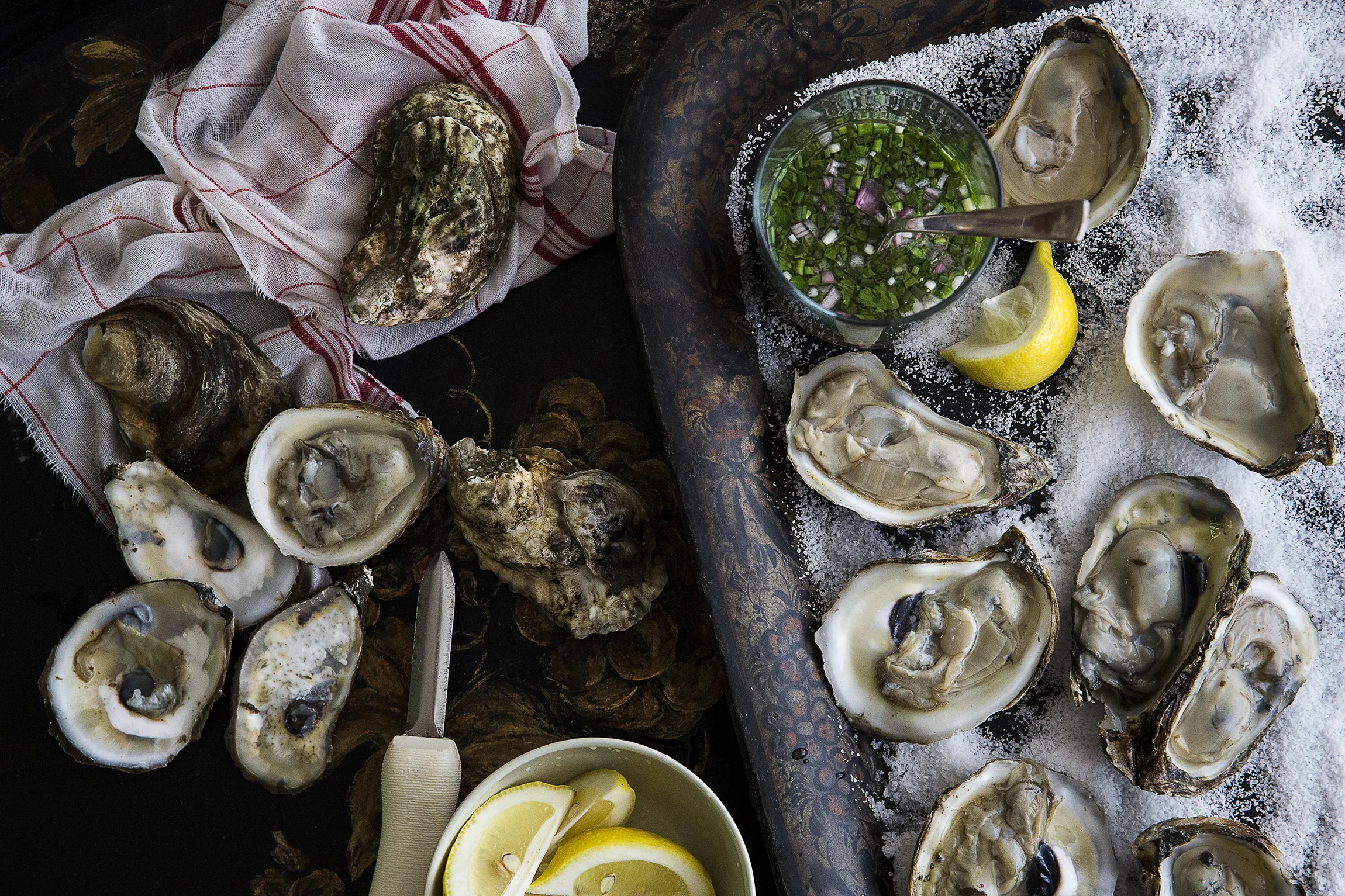 Oysters_0019_1.jpg