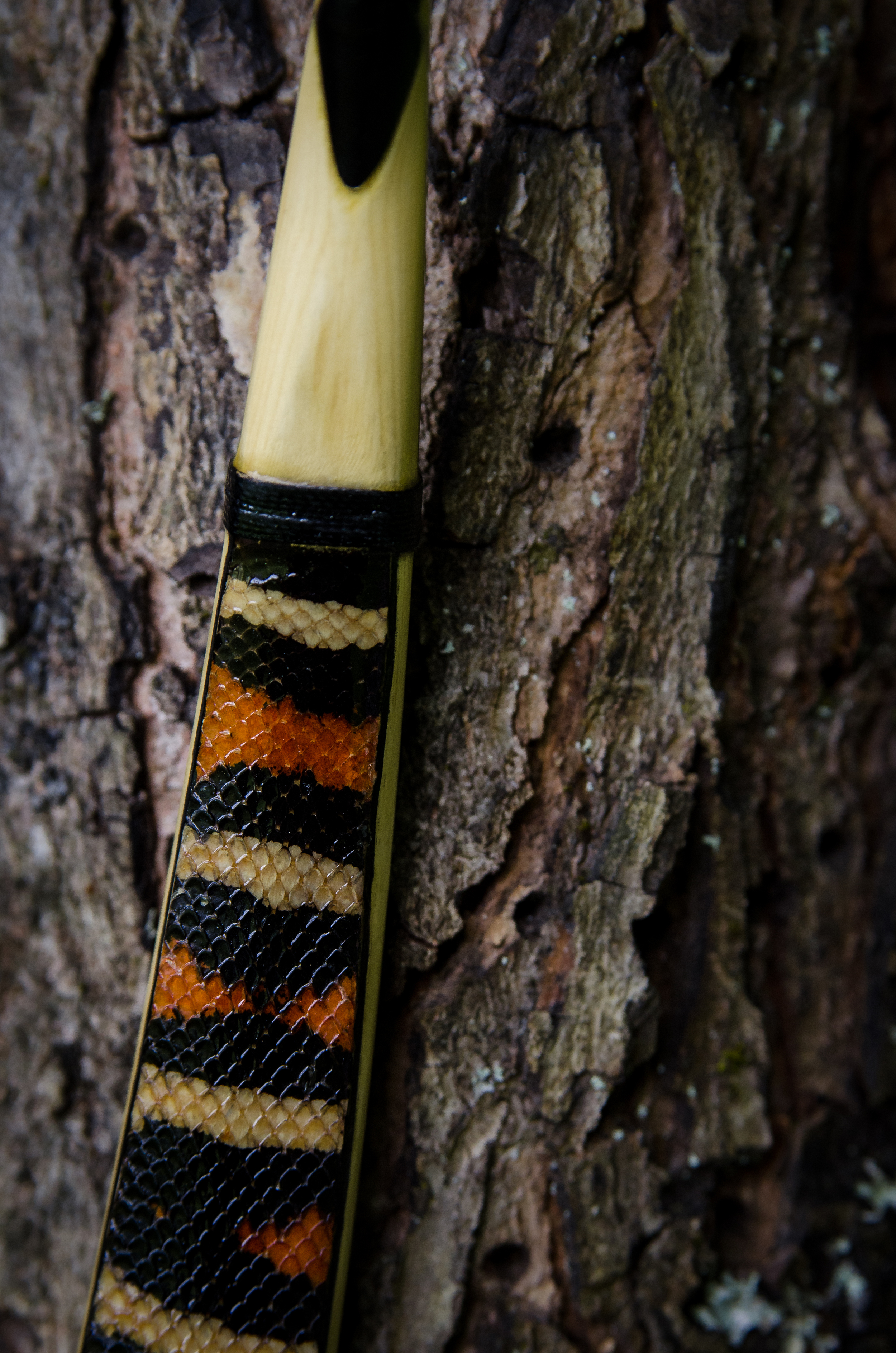 Portraits _ Weylin & Nate's Bow + Snakeskin Bow 21#2E36.jpg