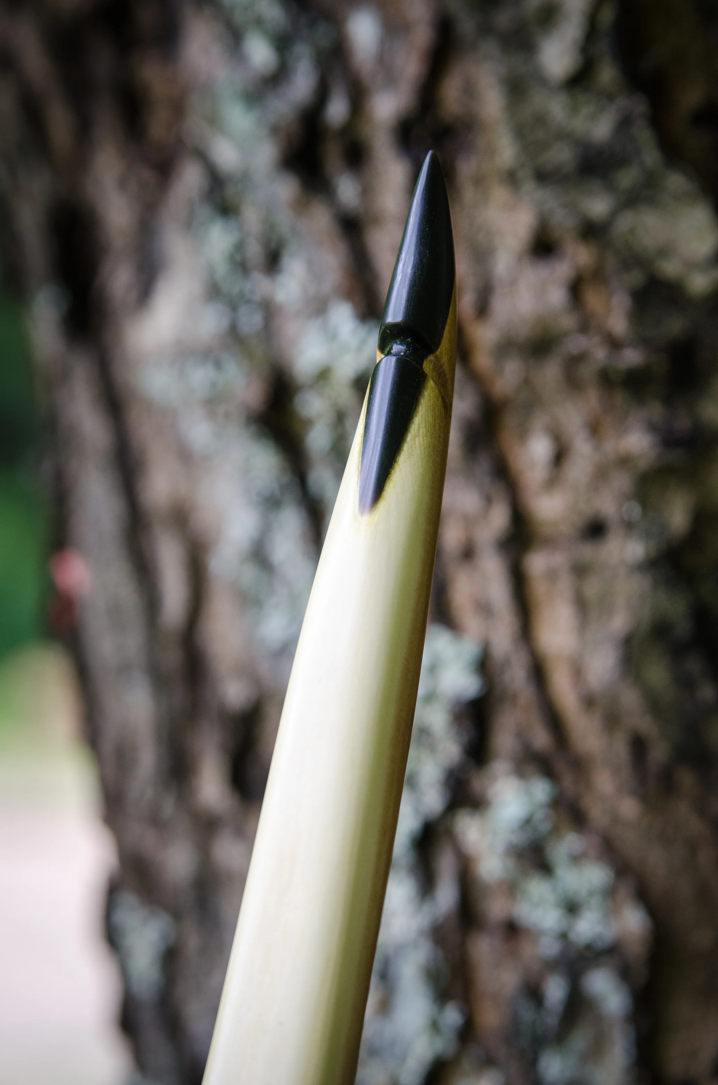 Portraits _ Weylin & Nate's Bow + Snakeskin Bow 3#7D3F.jpg