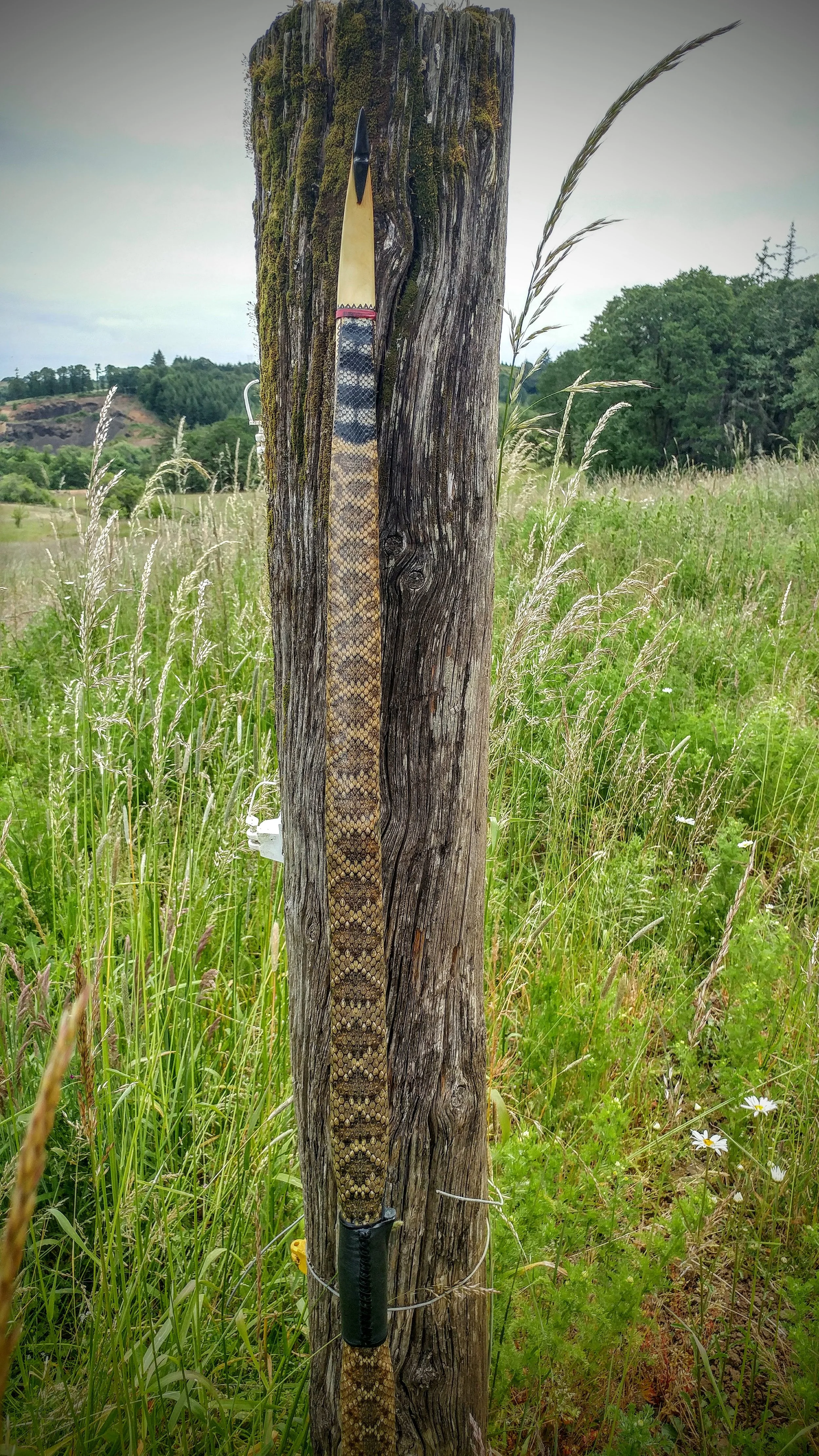 0603181158_HDR.jpg