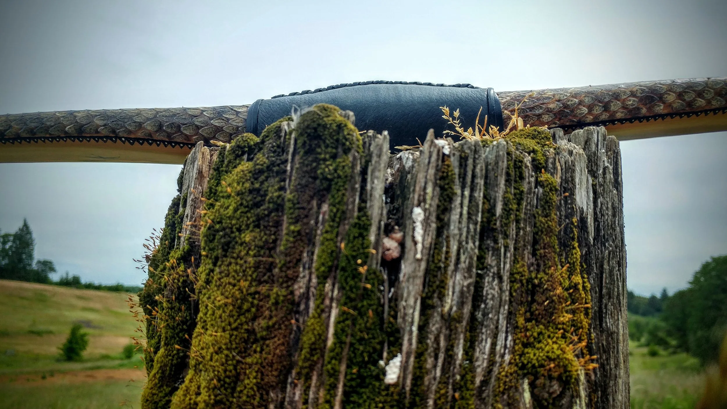 0603181159b_HDR.jpg