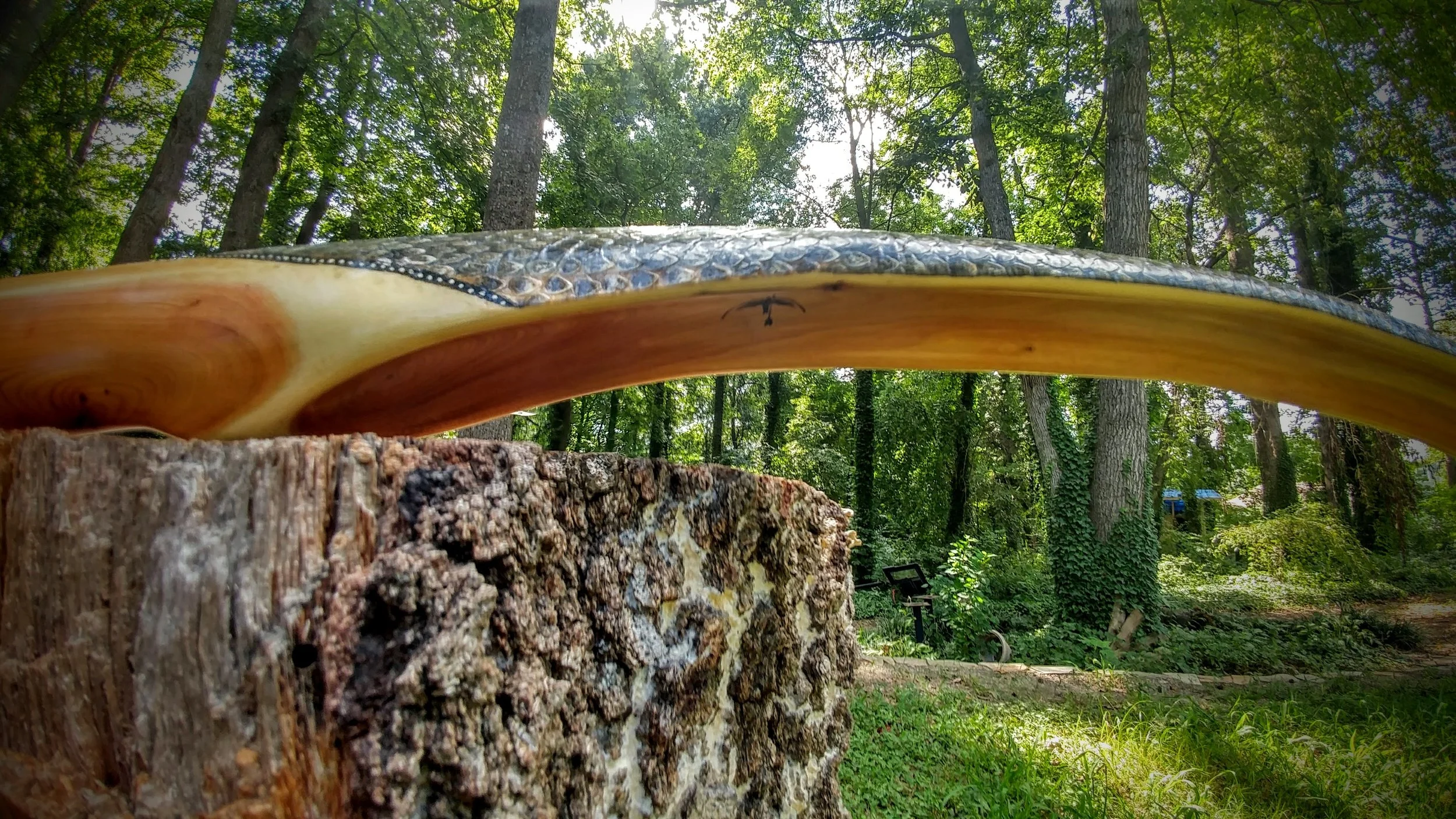 0805181614a_HDR.jpg