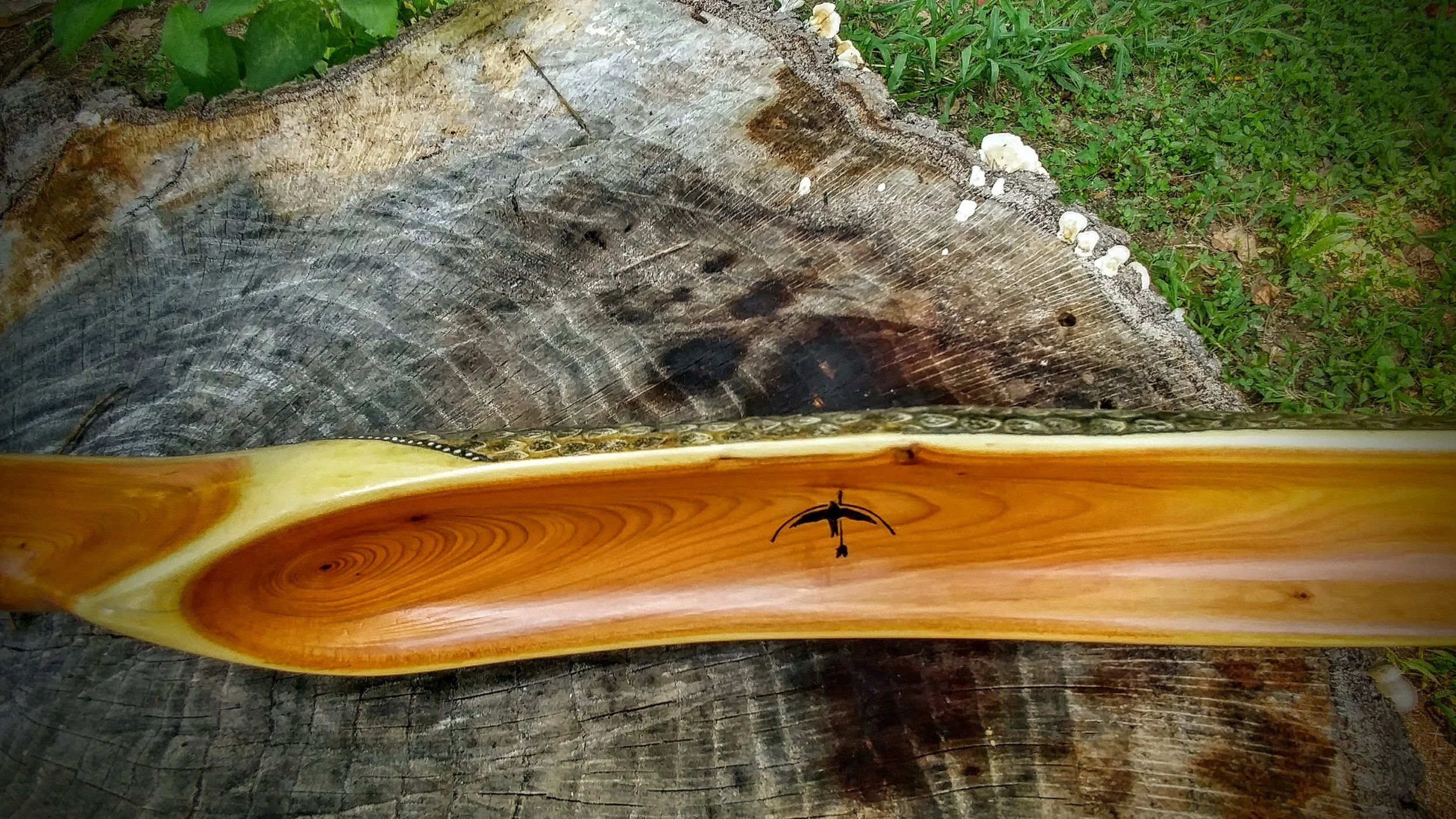 0805181328_HDR.jpg