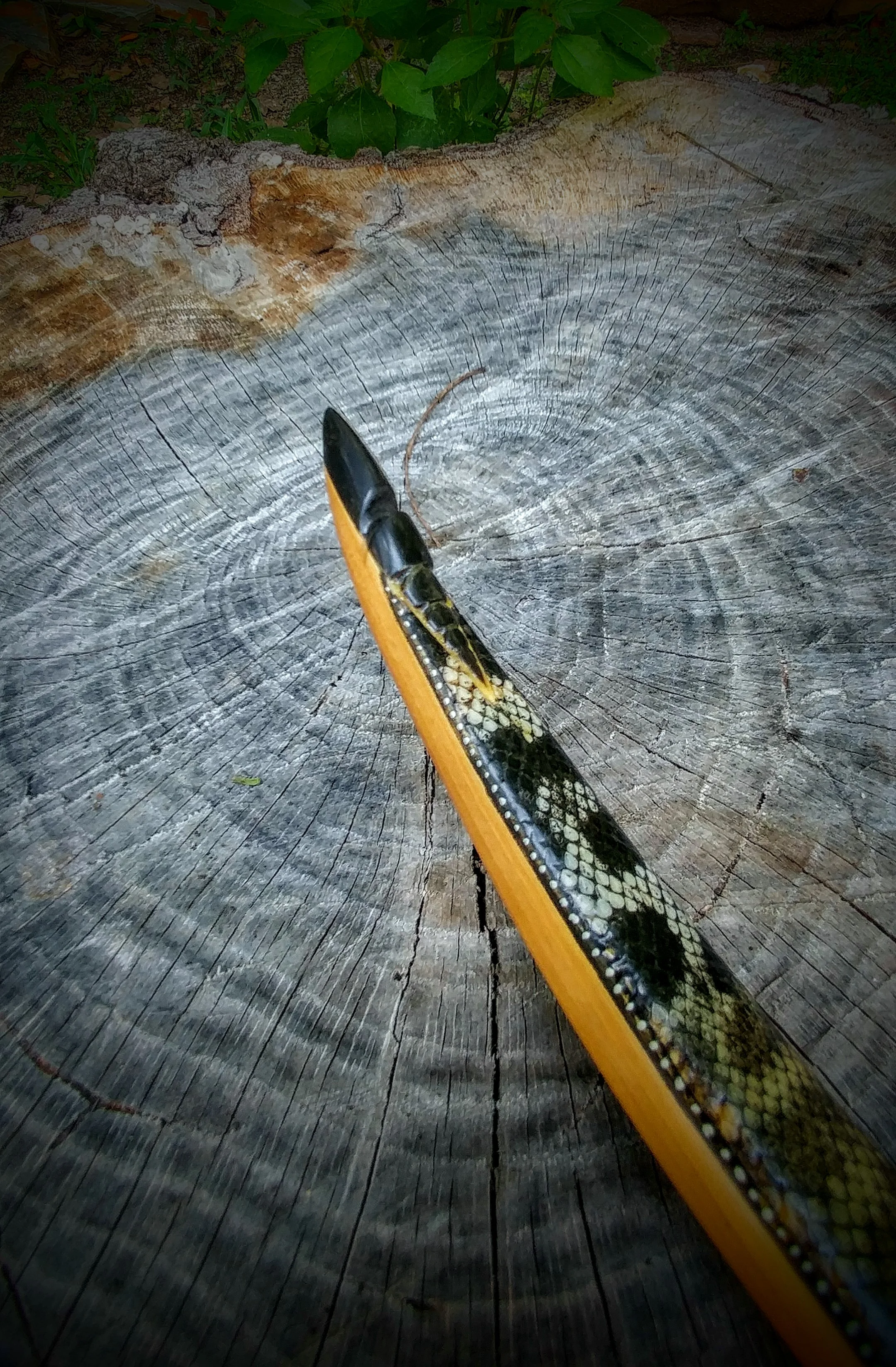 0805181331_HDR.jpg