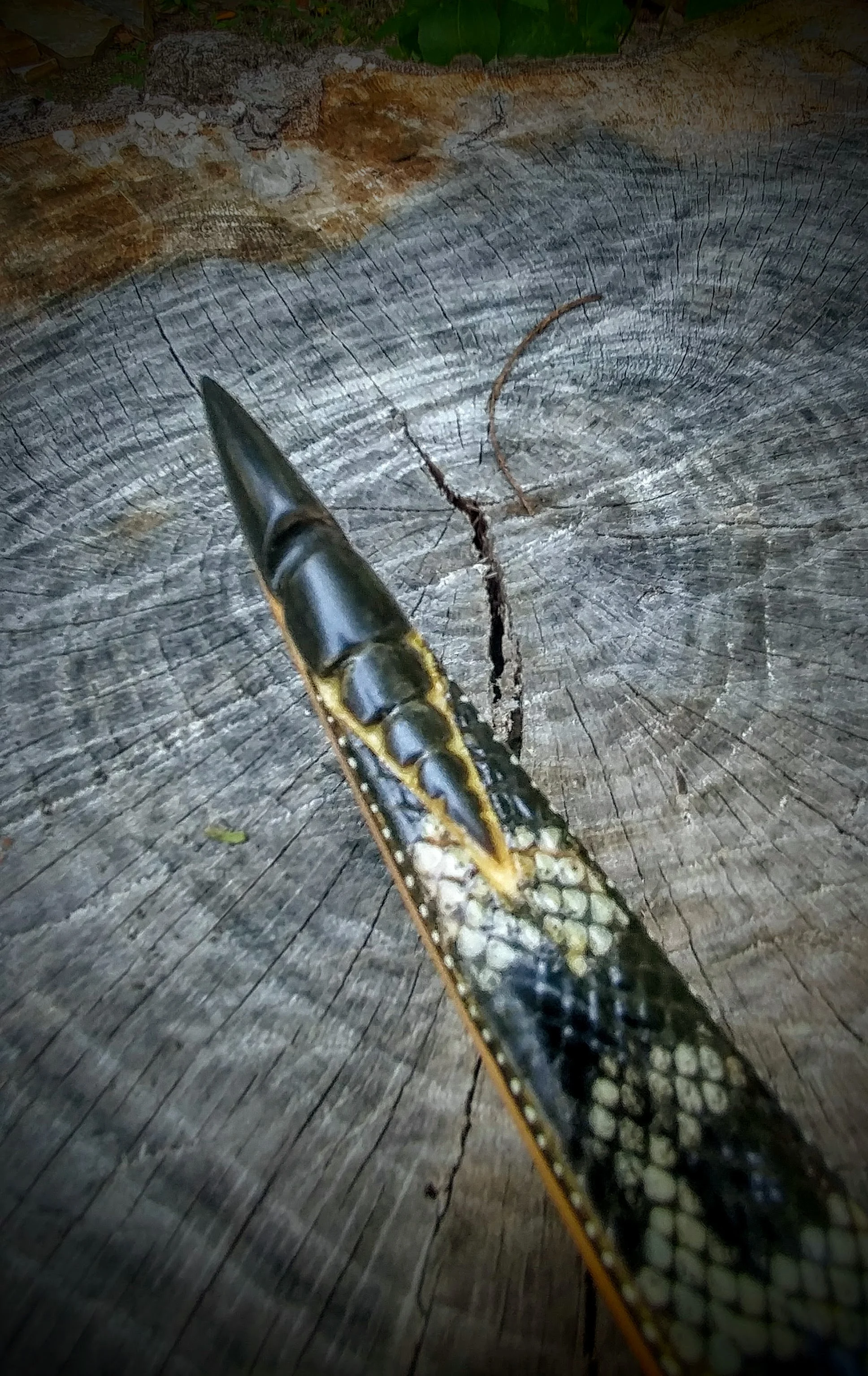 0805181331a_HDR.jpg