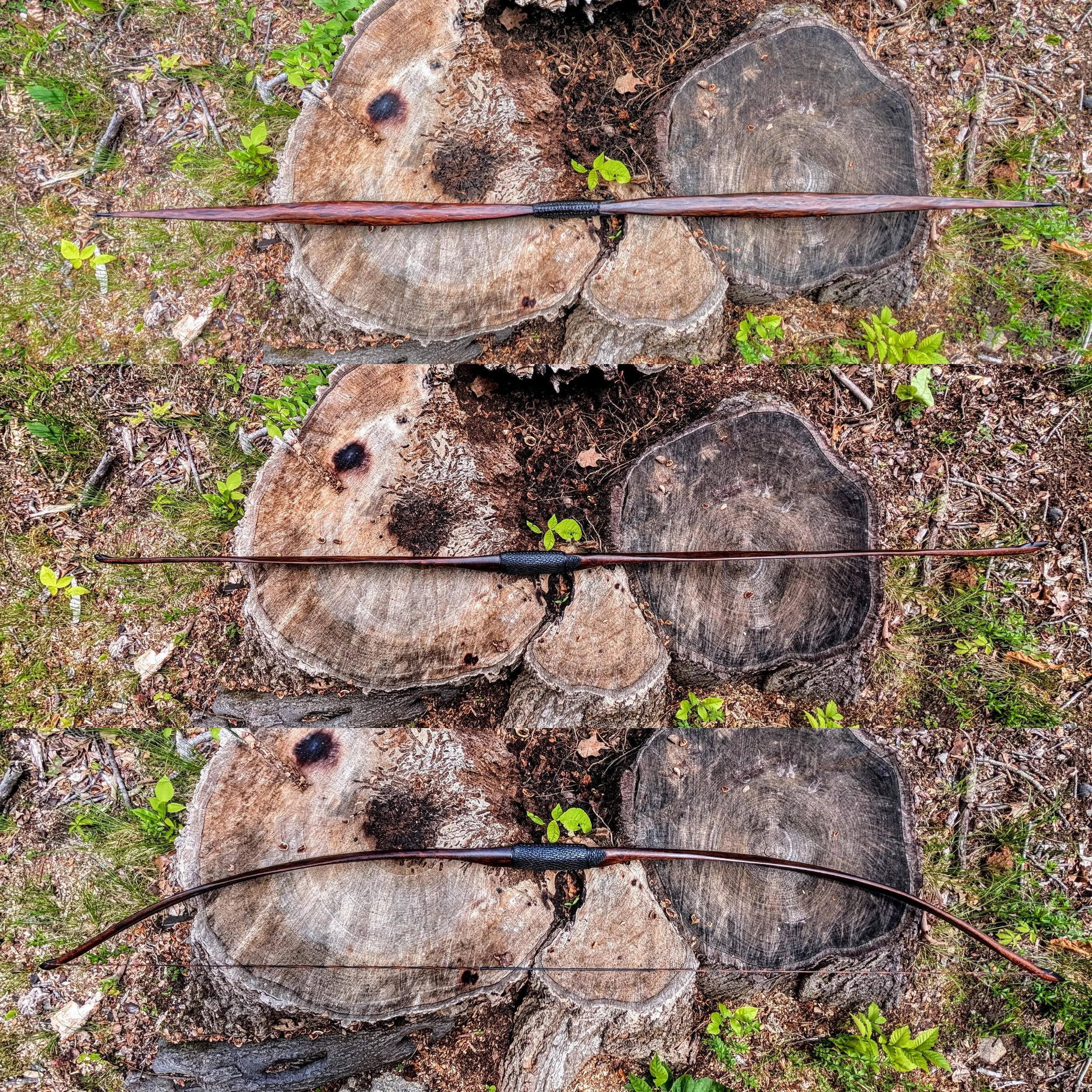 Limb profiles (1).jpg