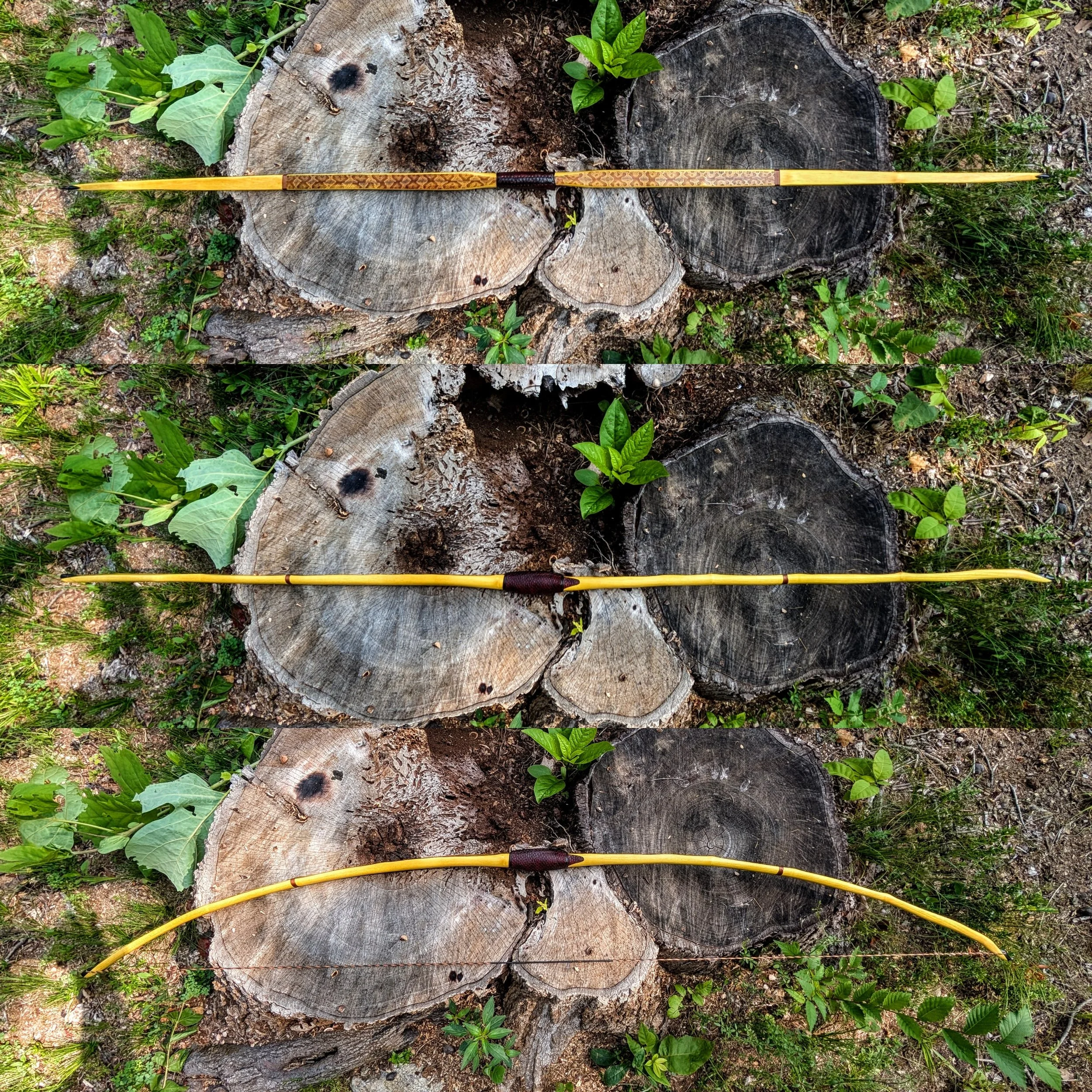 limb profiles.jpg