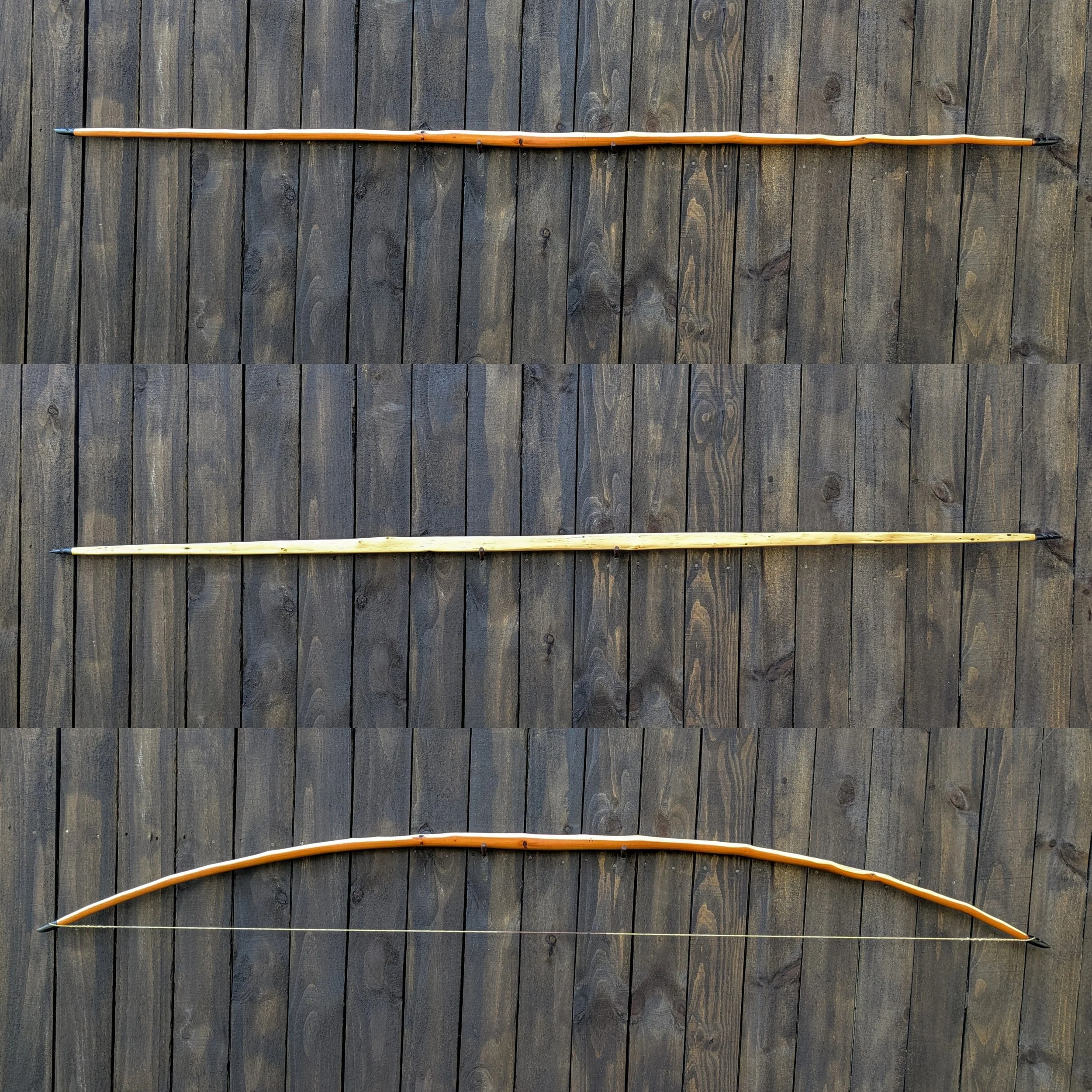 limb profiles.jpg