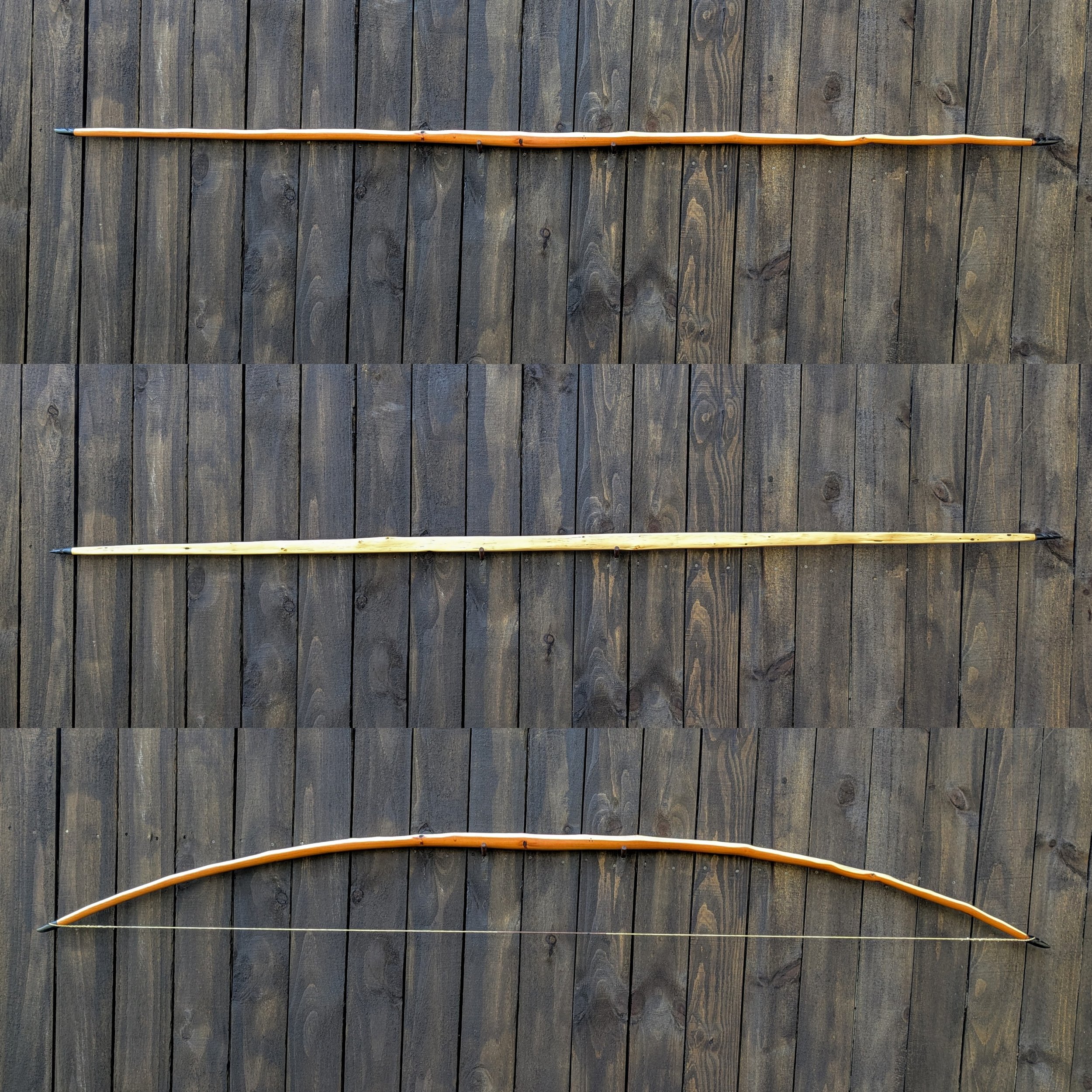 limb profiles.jpg