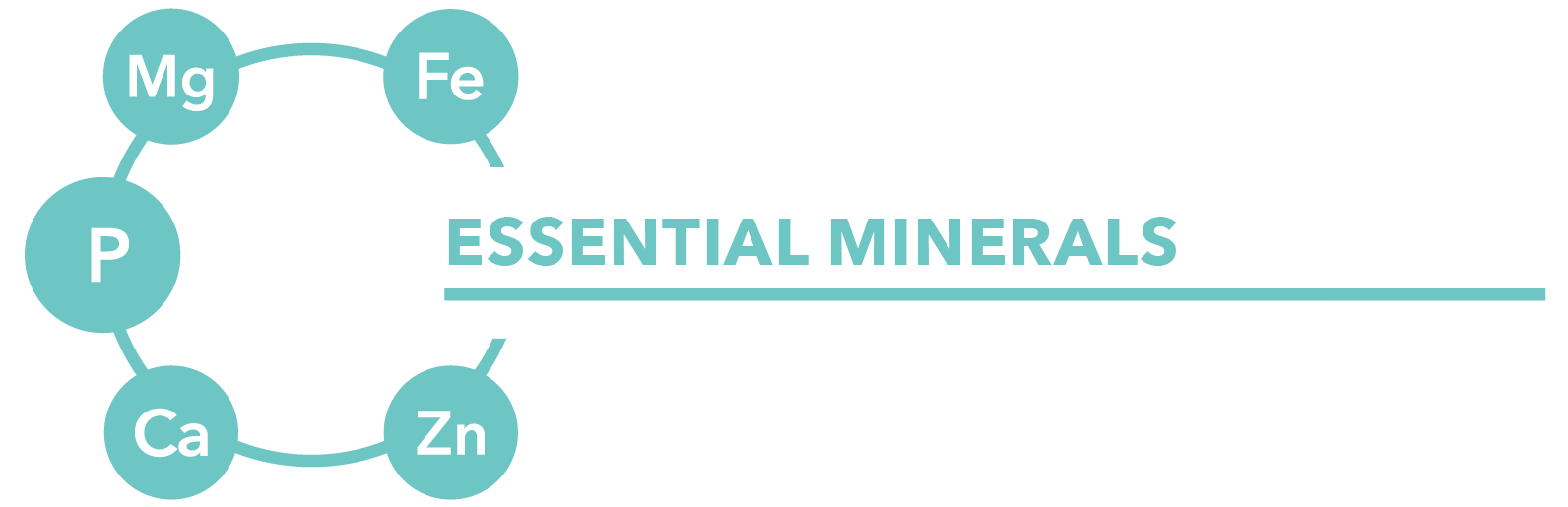 MINERALS-01.png