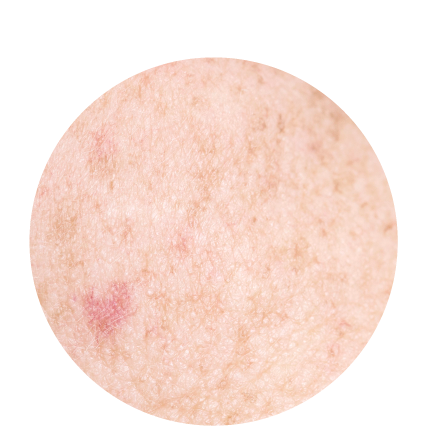 BENEFITS-09.png