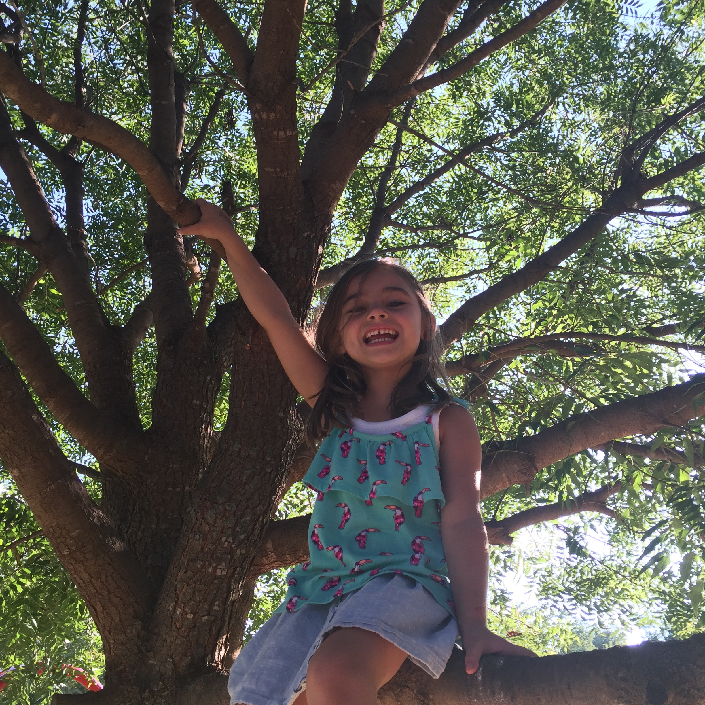  Beautiful tree-climber. 