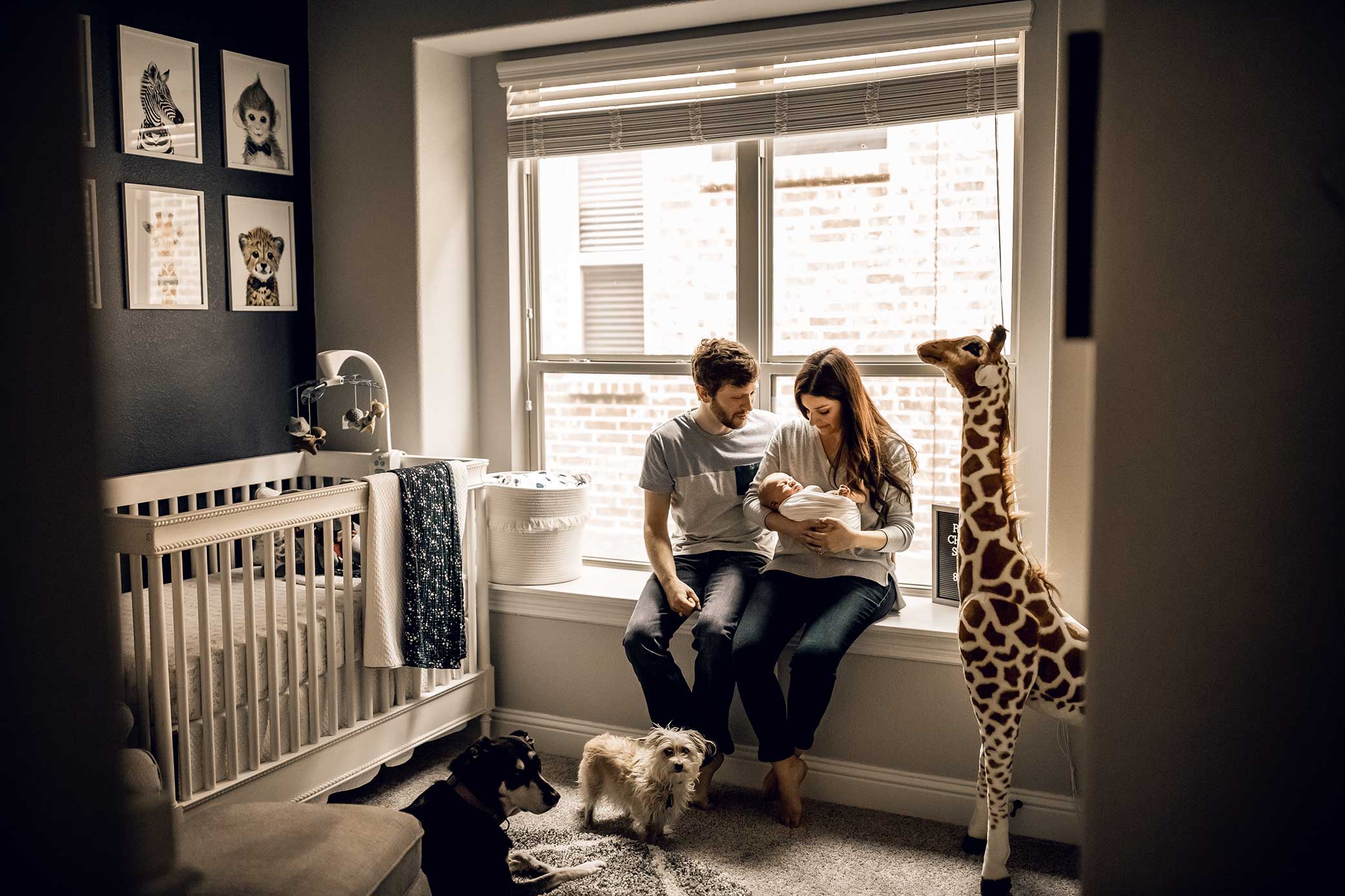 shelby-schiller-photography-lifestyle-in-home-newborn-animal-nursery-dark-colors.jpg