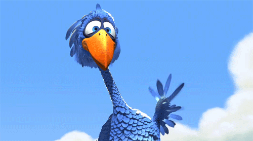 birb hi.gif