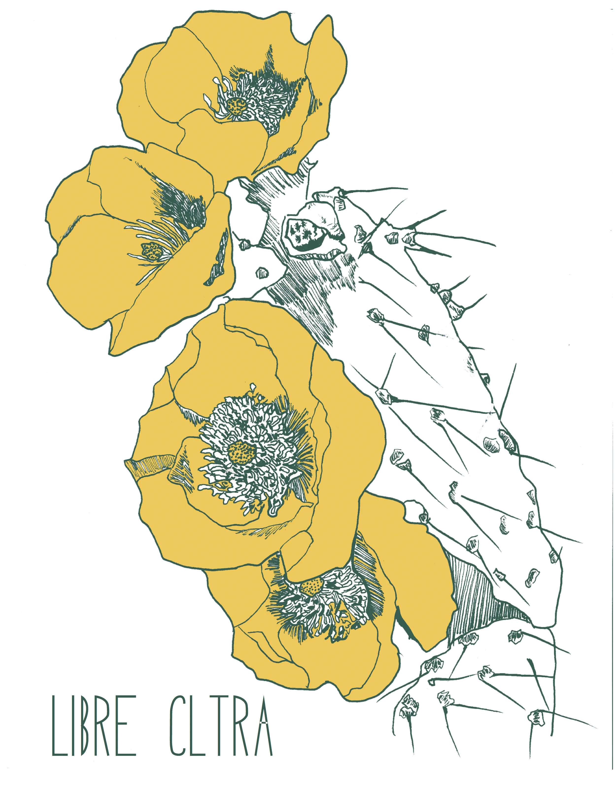 Flor Nopal, 2013. Adobe Illustrator