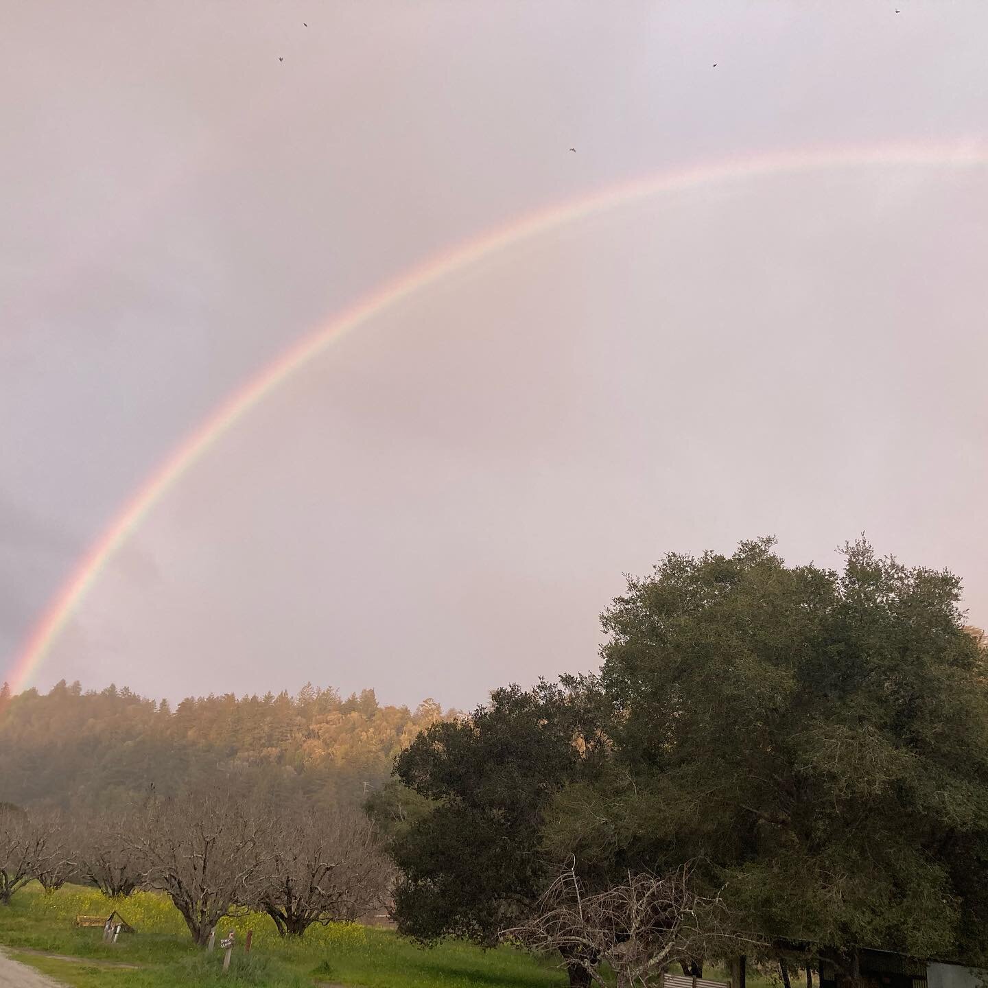 announcement: the farmstand will now be open 7 days a week from 10am-5pm.  a giant rainbow over the farm this past weekend. rain means good things for the coming season.