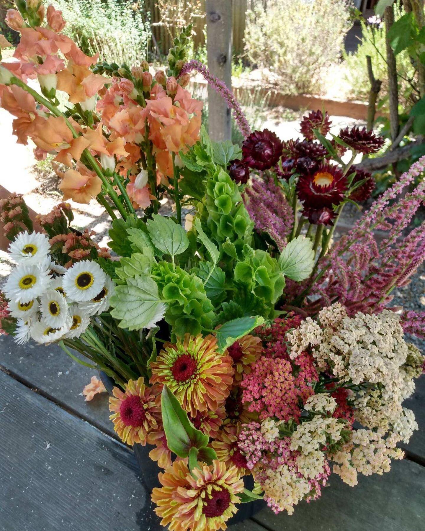 We had so much fun at our flower walk that we are doing it again! Come play in the flower rows with us. Harvest your own bucket of flowers, make  bouquets  and enjoy a relaxing time on our farm with the flower crew! 

Saturday, August 27th
4-6:30 pm
