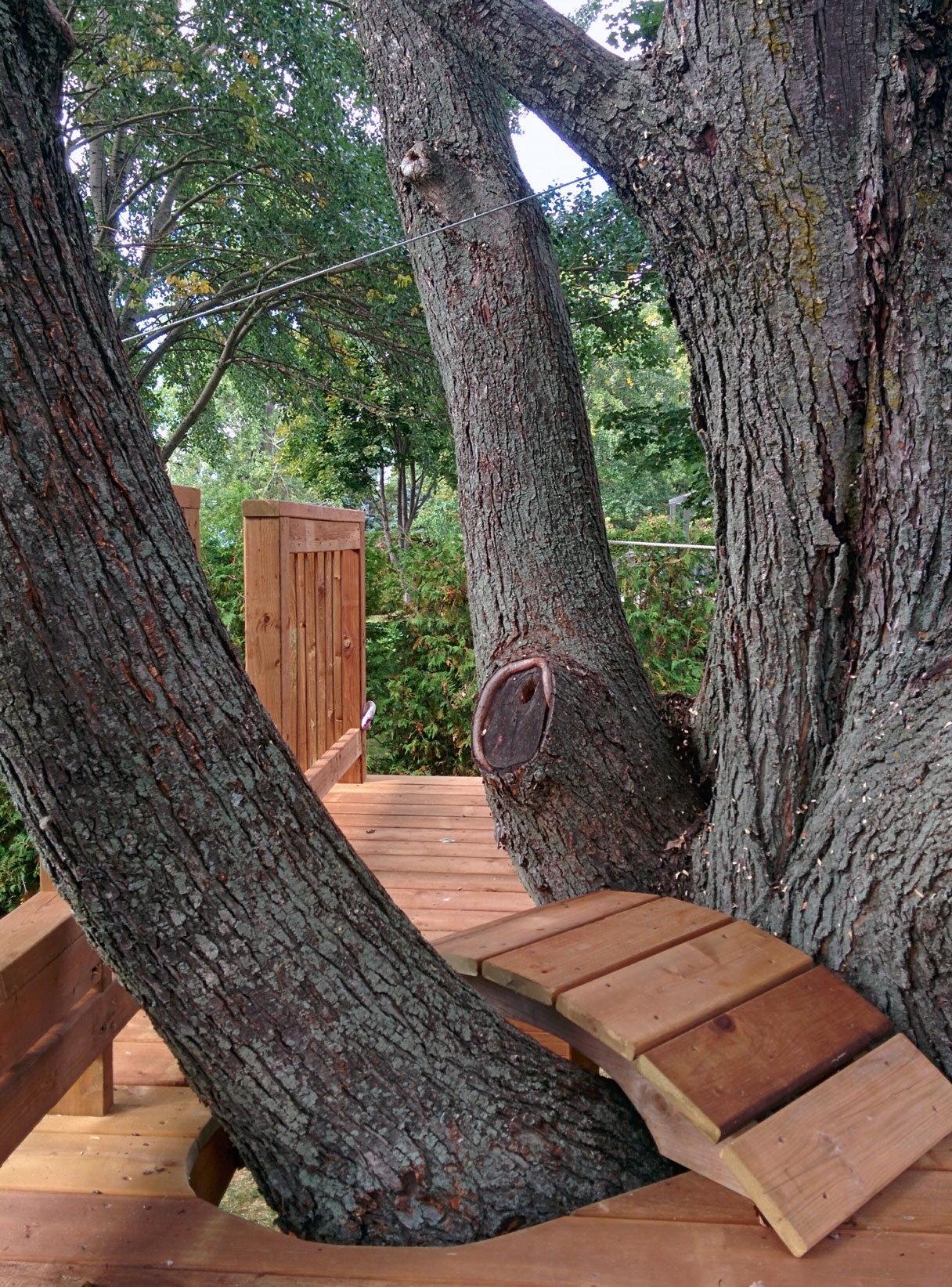 treehouse-1.jpg
