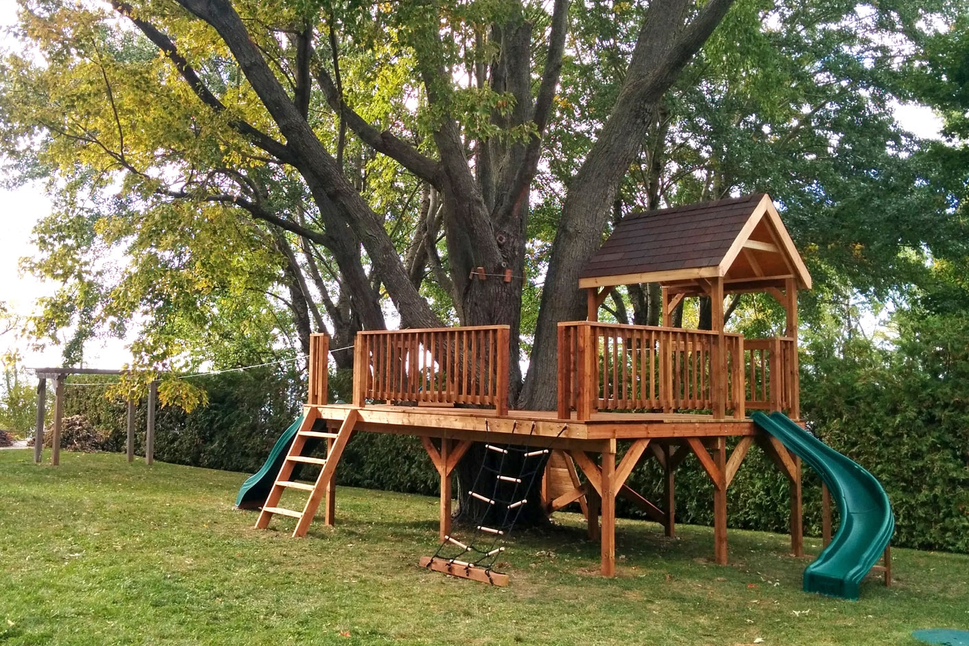 treehouse-5.jpg