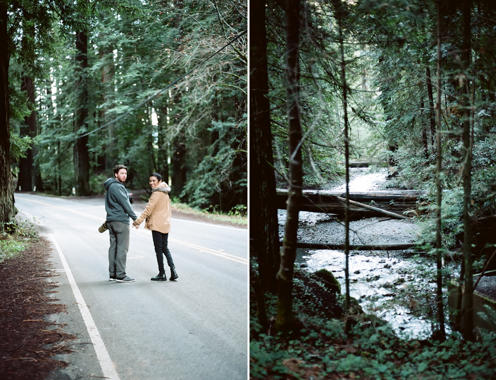 redwoods_photography.jpg