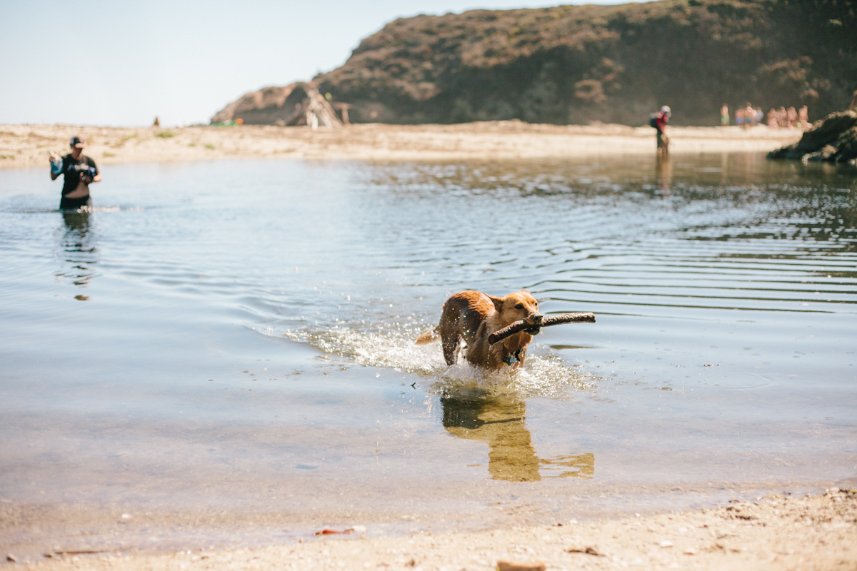 andrew molera state park beach big sur-3.jpg