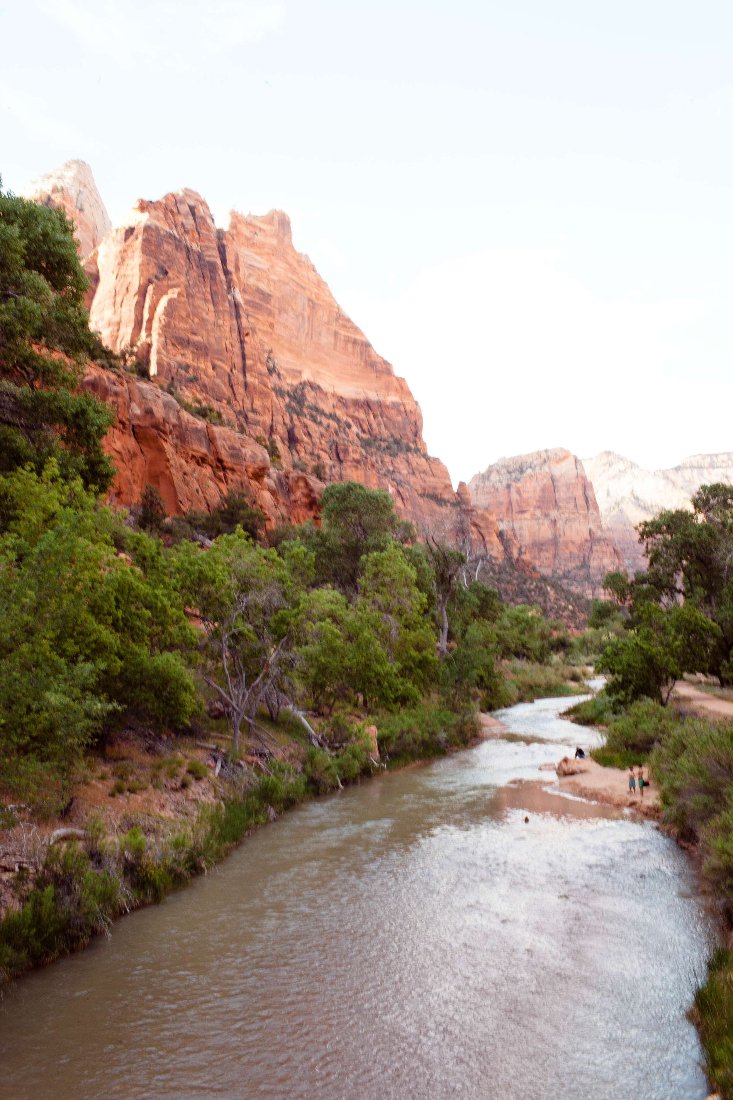 zion_araliwest-3648.jpg