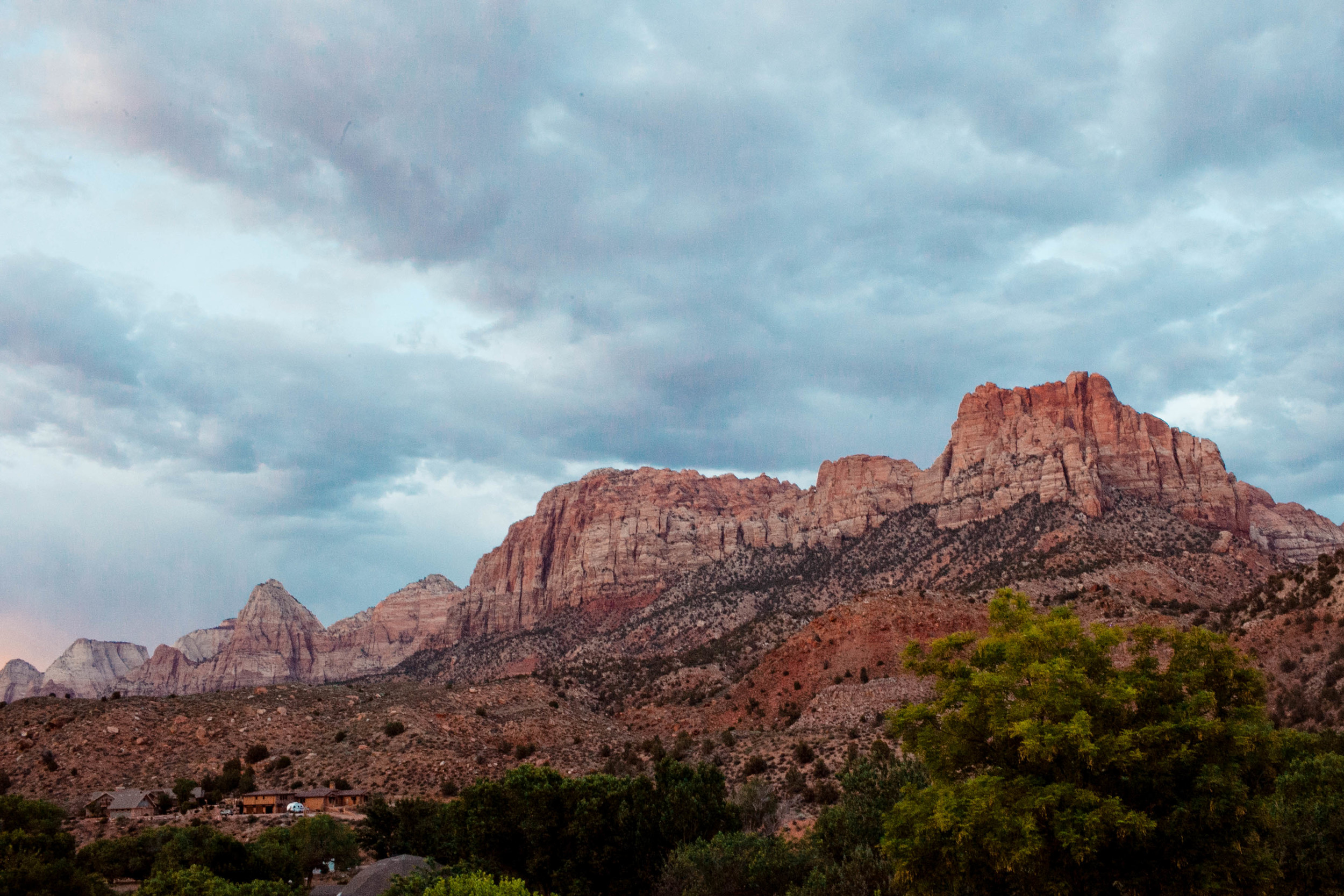 zion_araliwest-3584.jpg