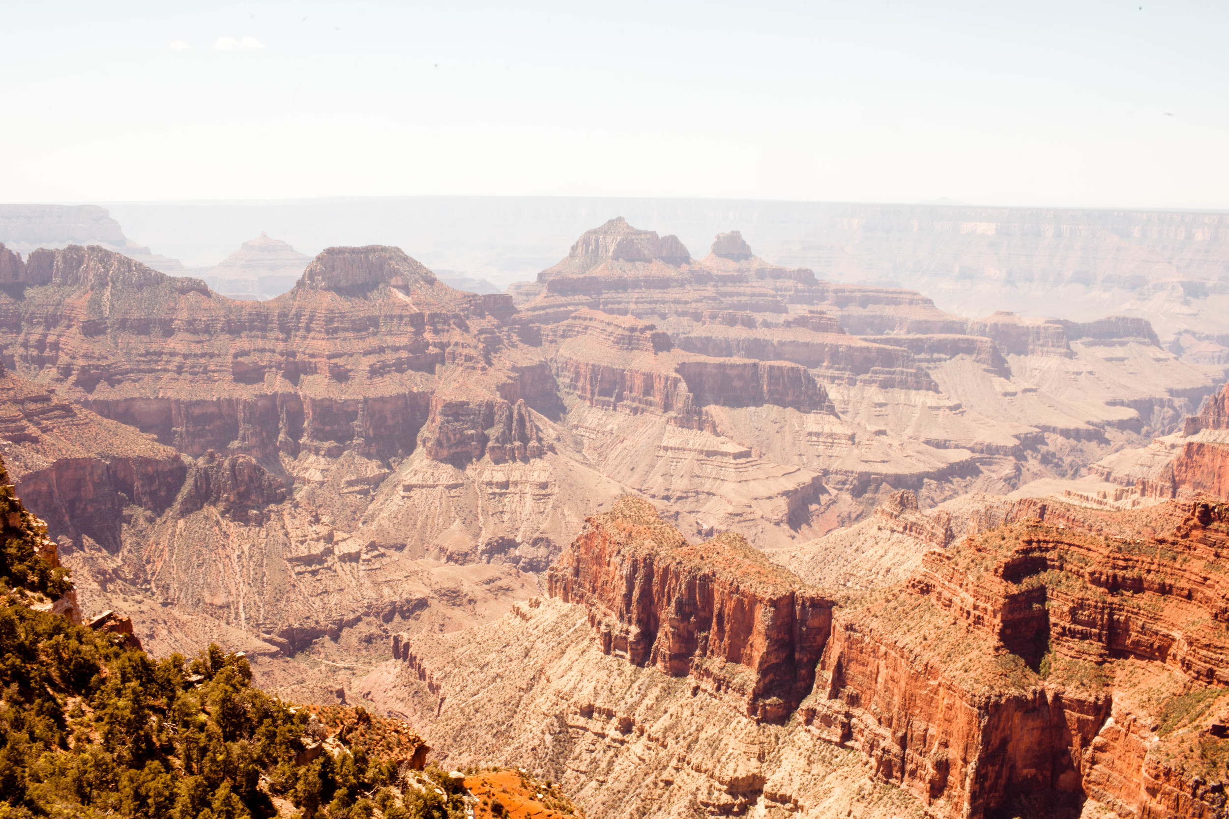 grandcanyon_northrim_araliwest-3600.jpg