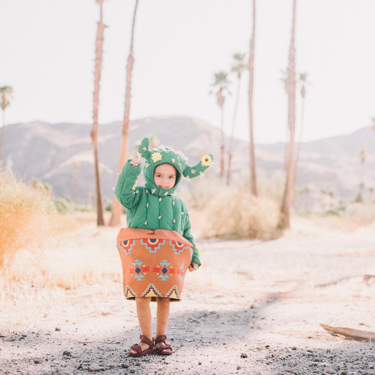 Happy October 1st!! Is it too early to post Halloween attire? I&rsquo;m pretty sure I&rsquo;ll be recycling this costume until it no longer fits her 😆🌵🌵 #cactuslover #cactiofinstagram #halloween2020