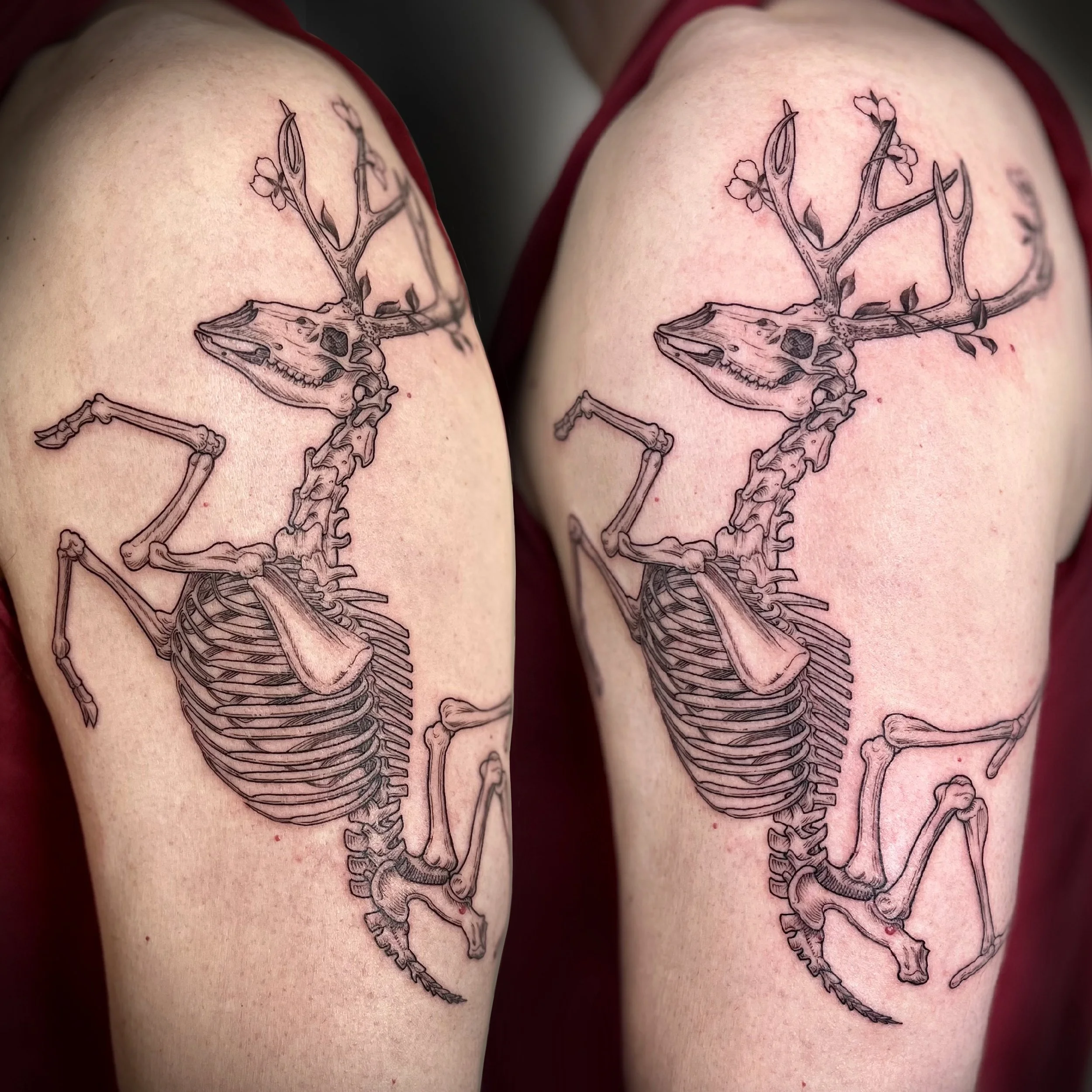 Scythian Deer.jpg