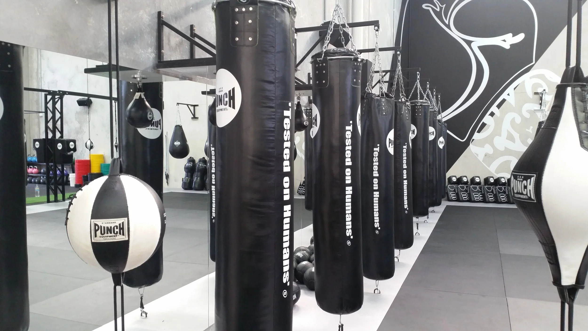 Mirrors for the gym