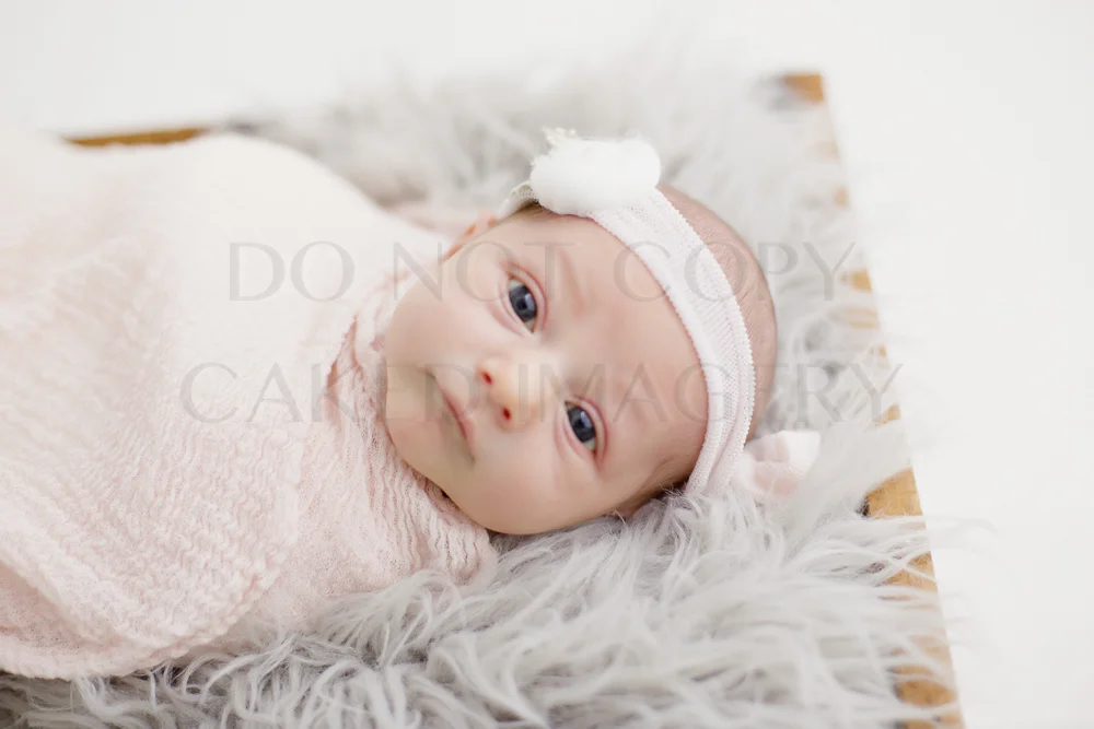 Tiffany Full Gallery Purchase