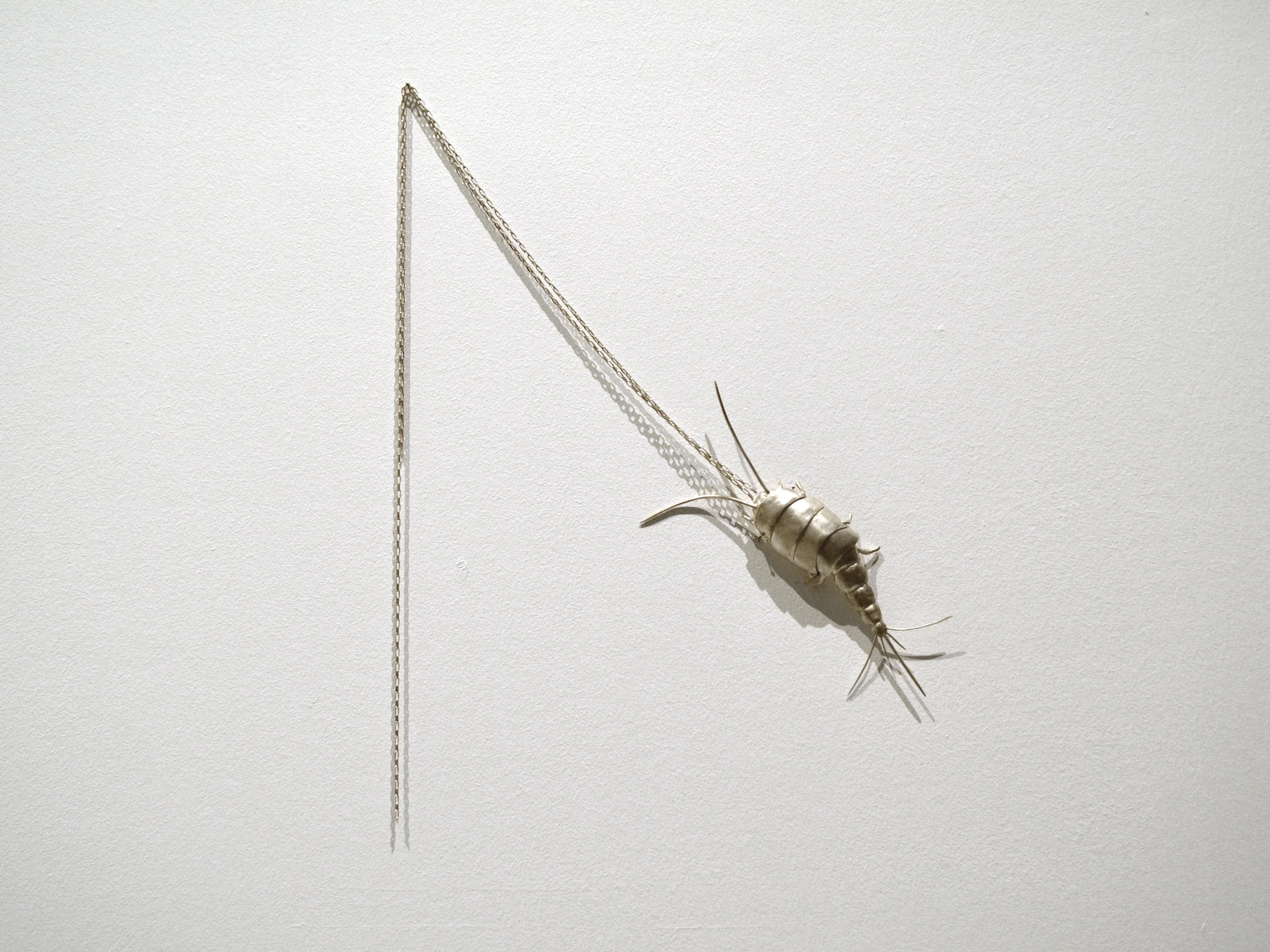 Silverfish 2017, exhibited at Kick Out The Jams and 14 Benches. Things that make you go ‘Eew’. My archivist uncle was physically repelled by this piece, and I couldn’t have dreamed up a better reaction. My studio is full of them. I find them incredibly beautiful. Next, I want to make an earwig.